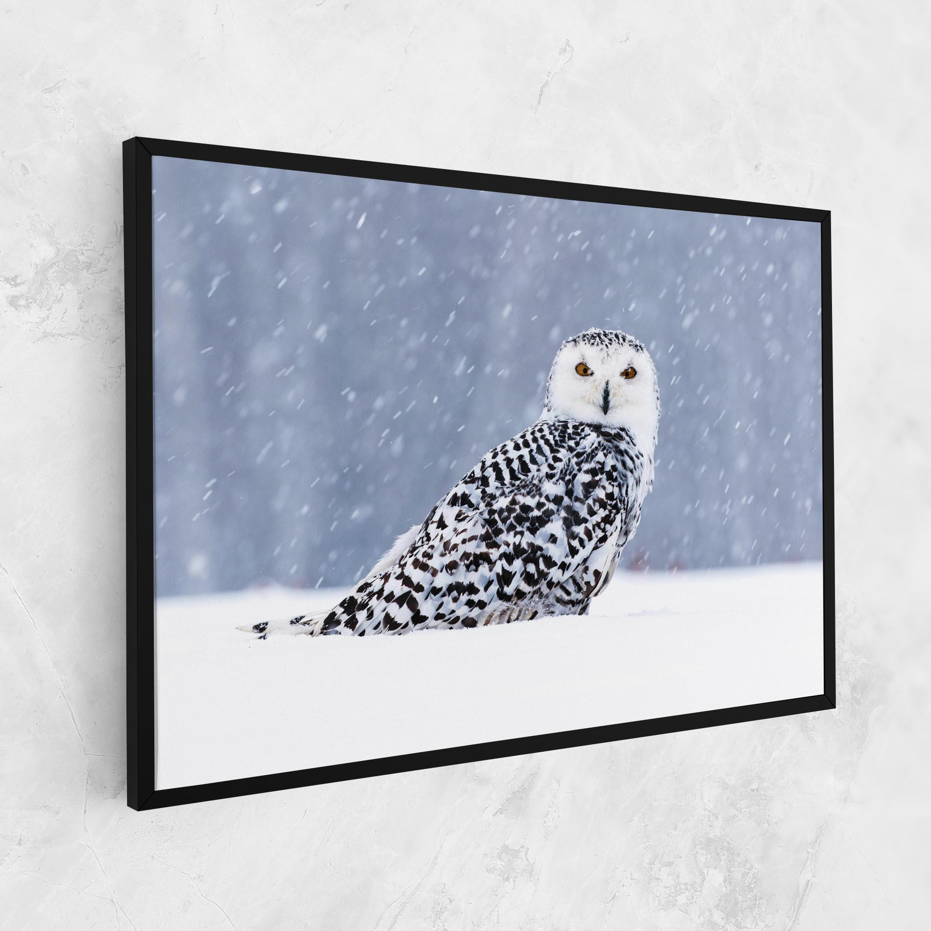 Leinwandbild Snow Owl mockup 1