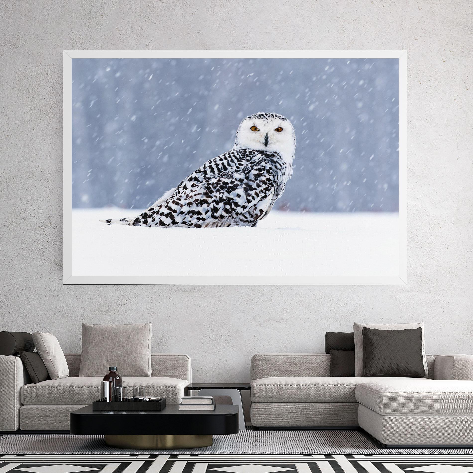 Leinwandbild Snow Owl mockup 2