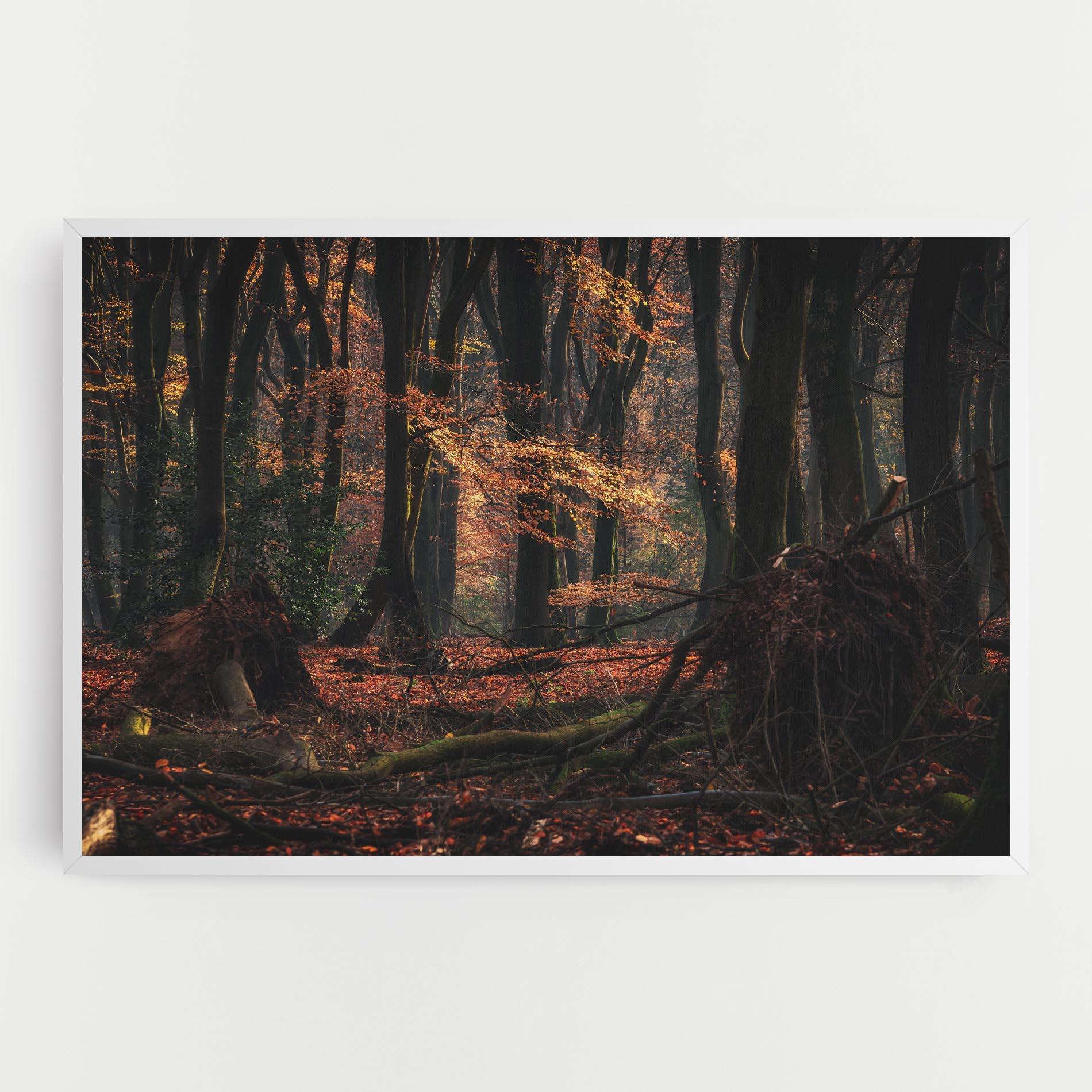 Leinwandbild Autumn Forest Trees mockup 0