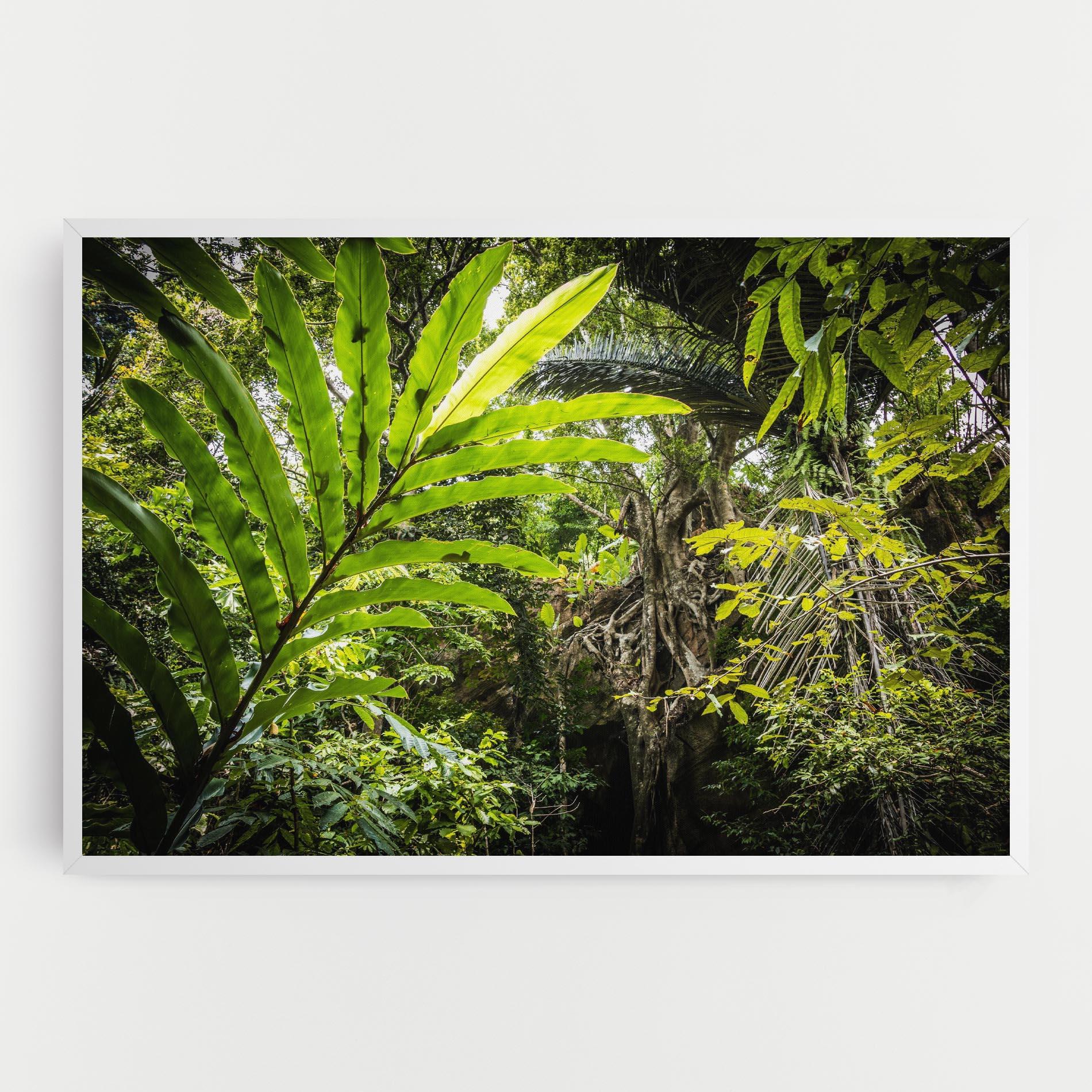 Leinwandbild Big Leaf Forest mockup 0