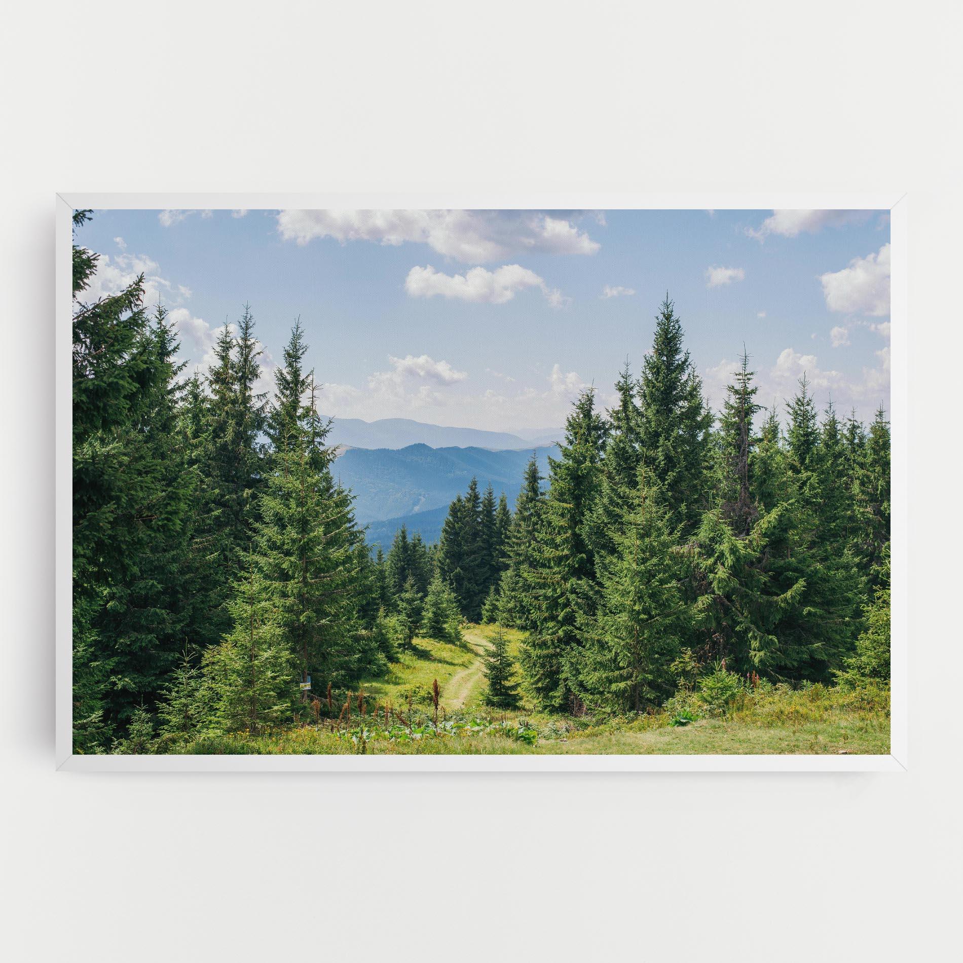 Leinwandbild Carpathian Mountain mockup 0