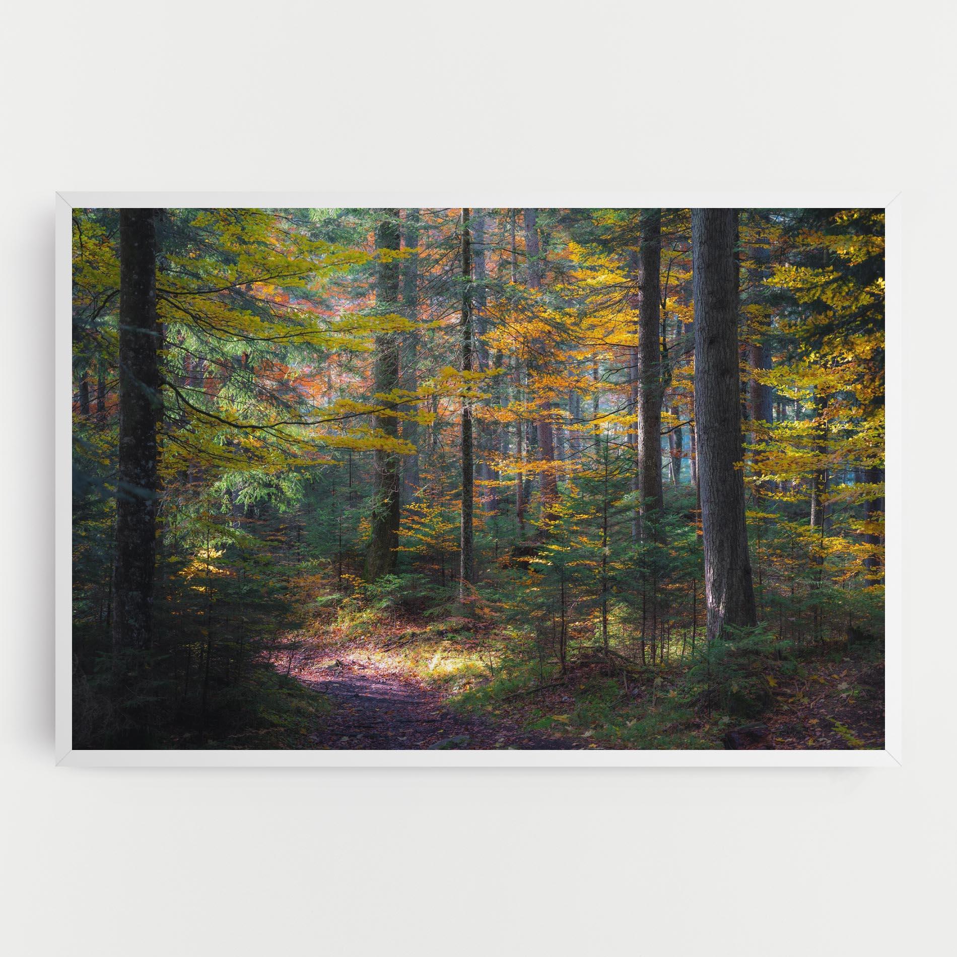 Leinwandbild Dreamy Path Dorest mockup 0