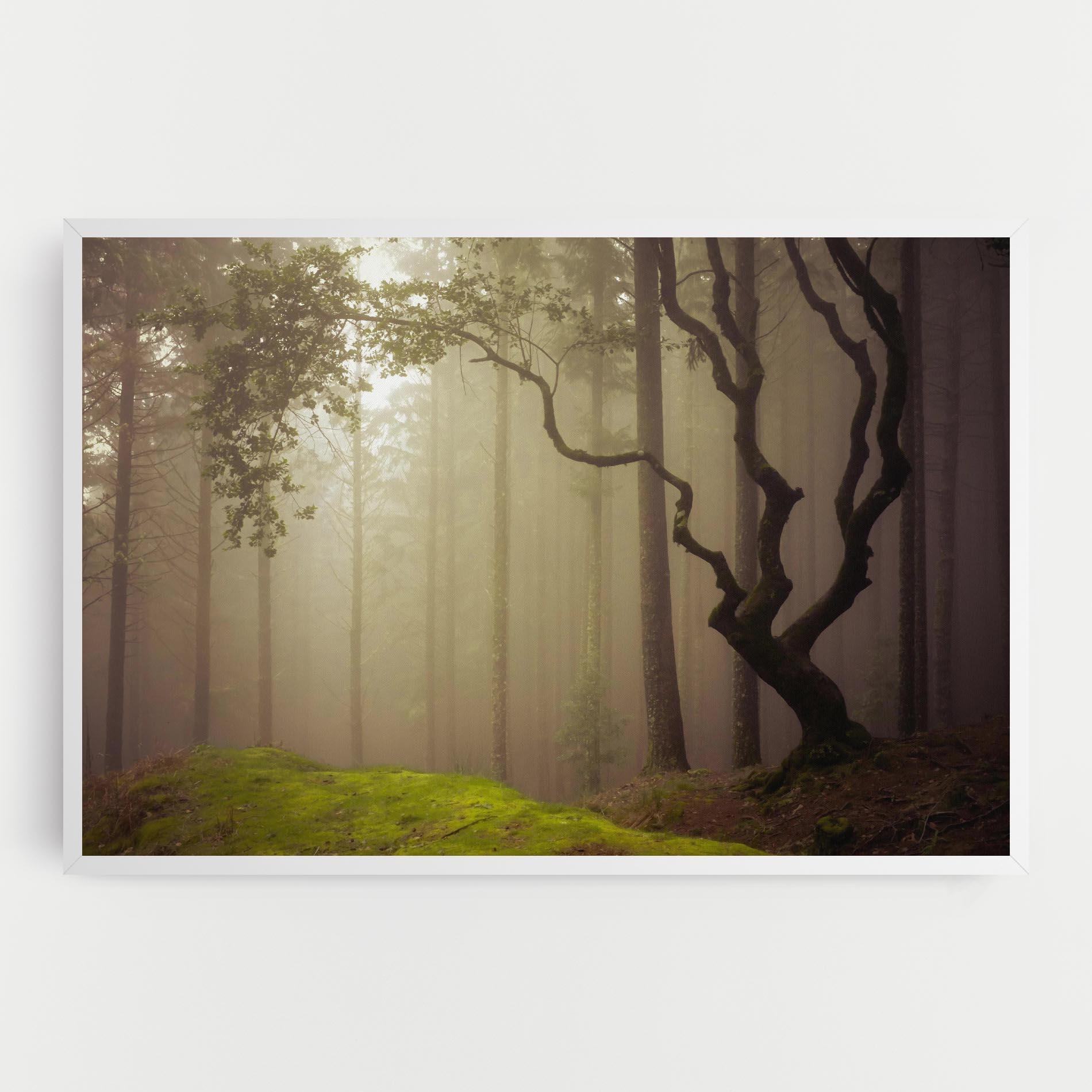 Leinwandbild Foggy Tree Art mockup 0
