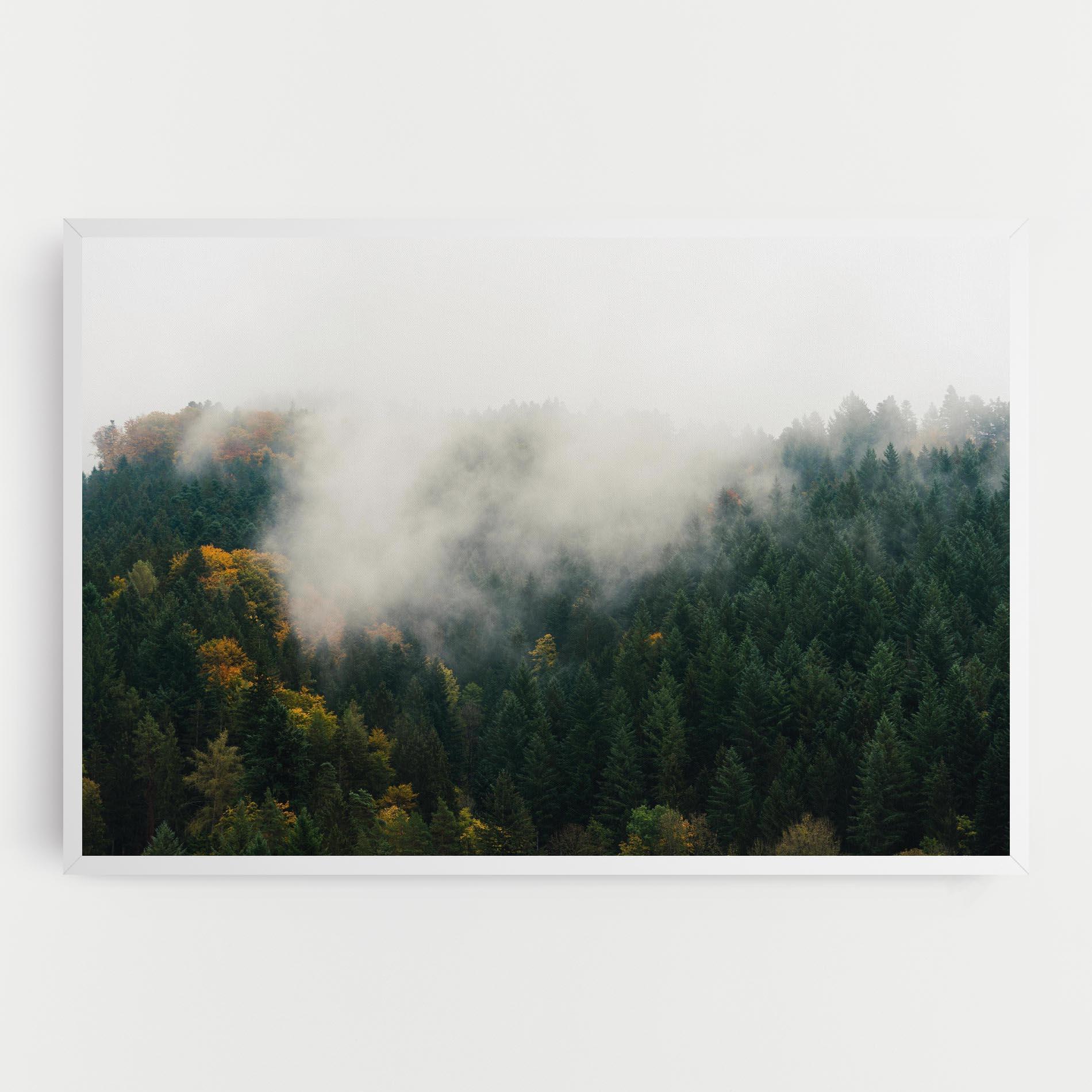 Leinwandbild Foggy Tree Forest mockup 0