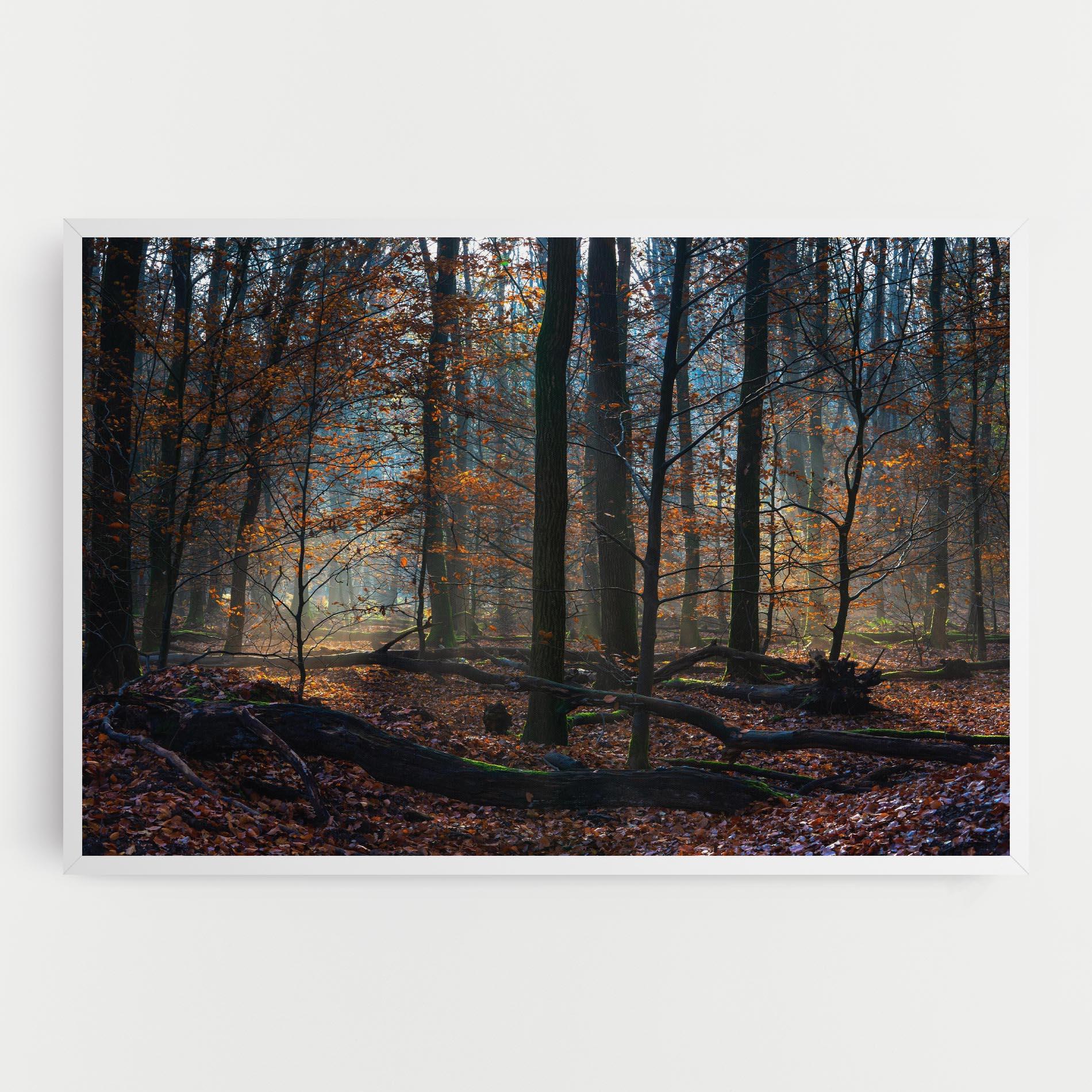 Leinwandbild Forest Autumn Day mockup 0