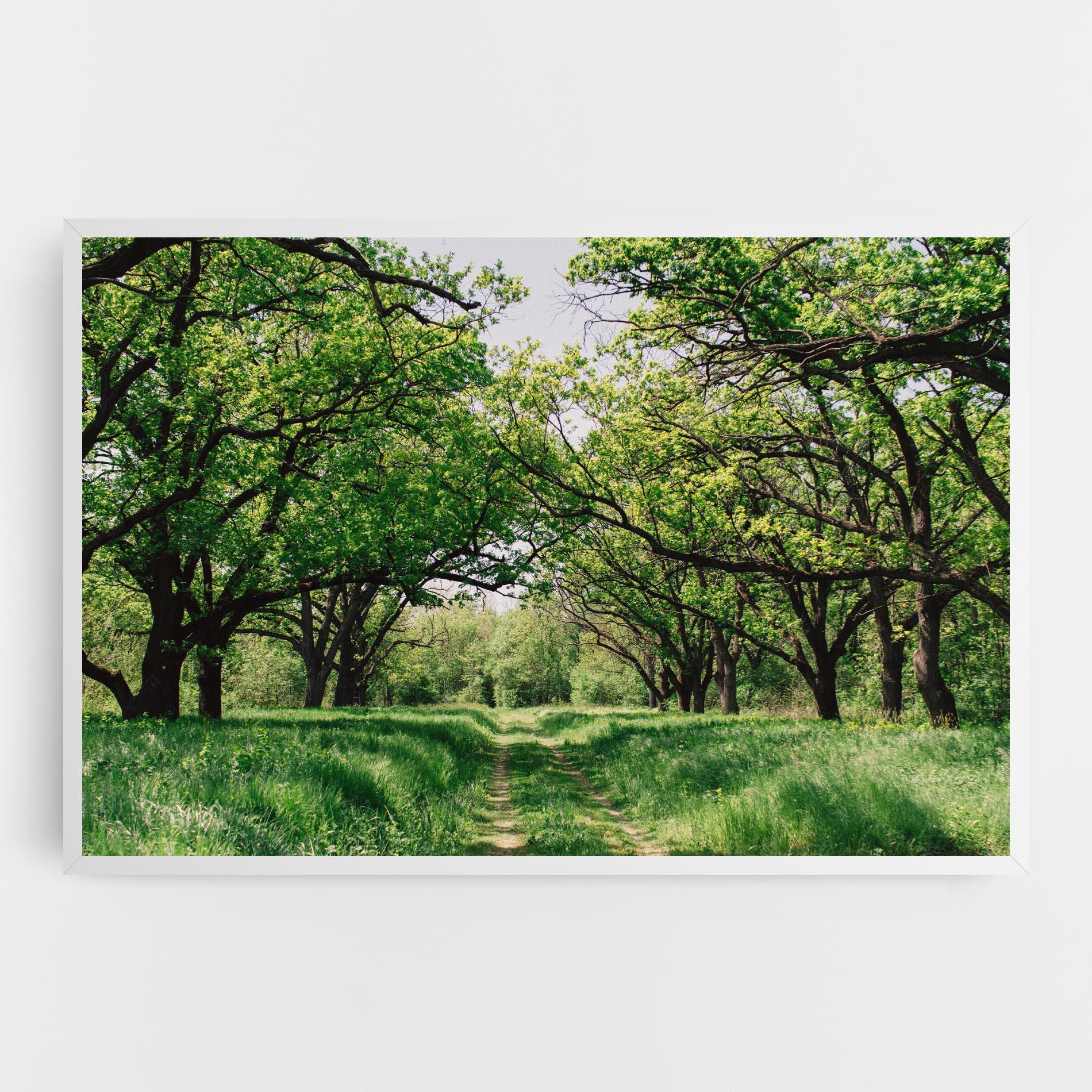 Leinwandbild Forest Green Path mockup 0