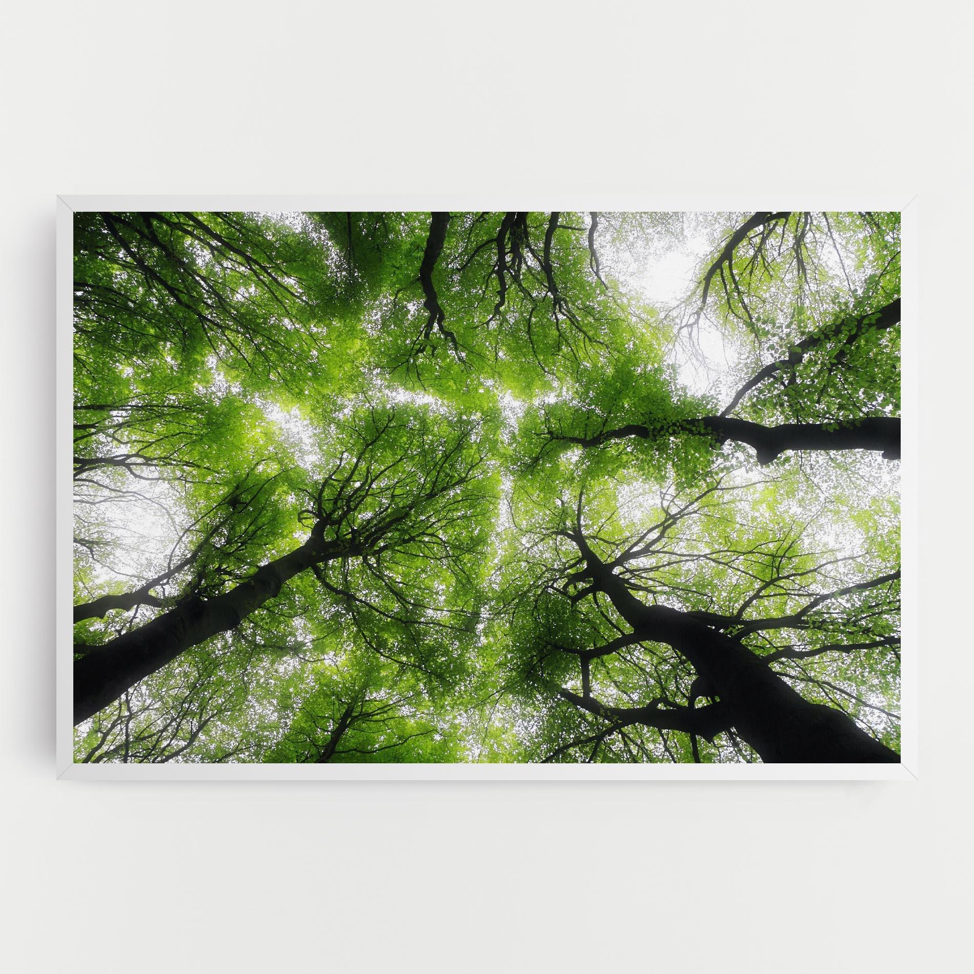Leinwandbild Forest Green Tree mockup 0