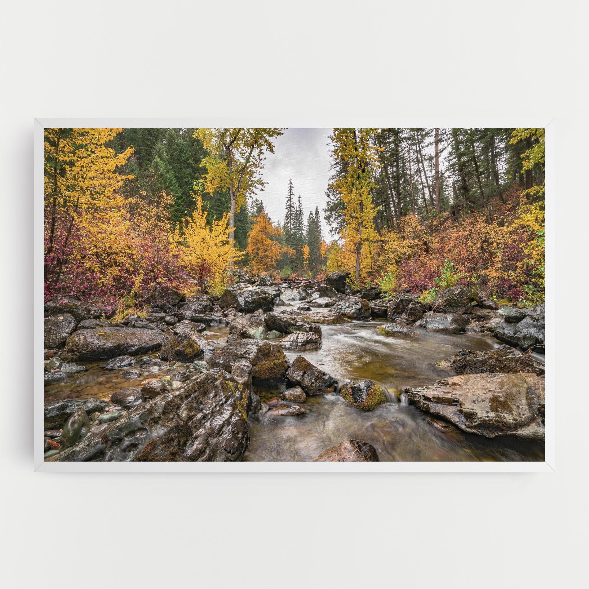 Leinwandbild Forest Lake Rocks mockup 0