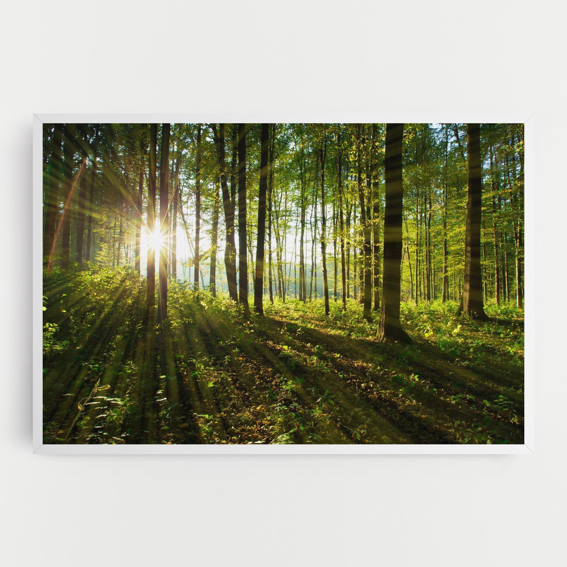 Leinwandbild Green Light Forest mockup 0