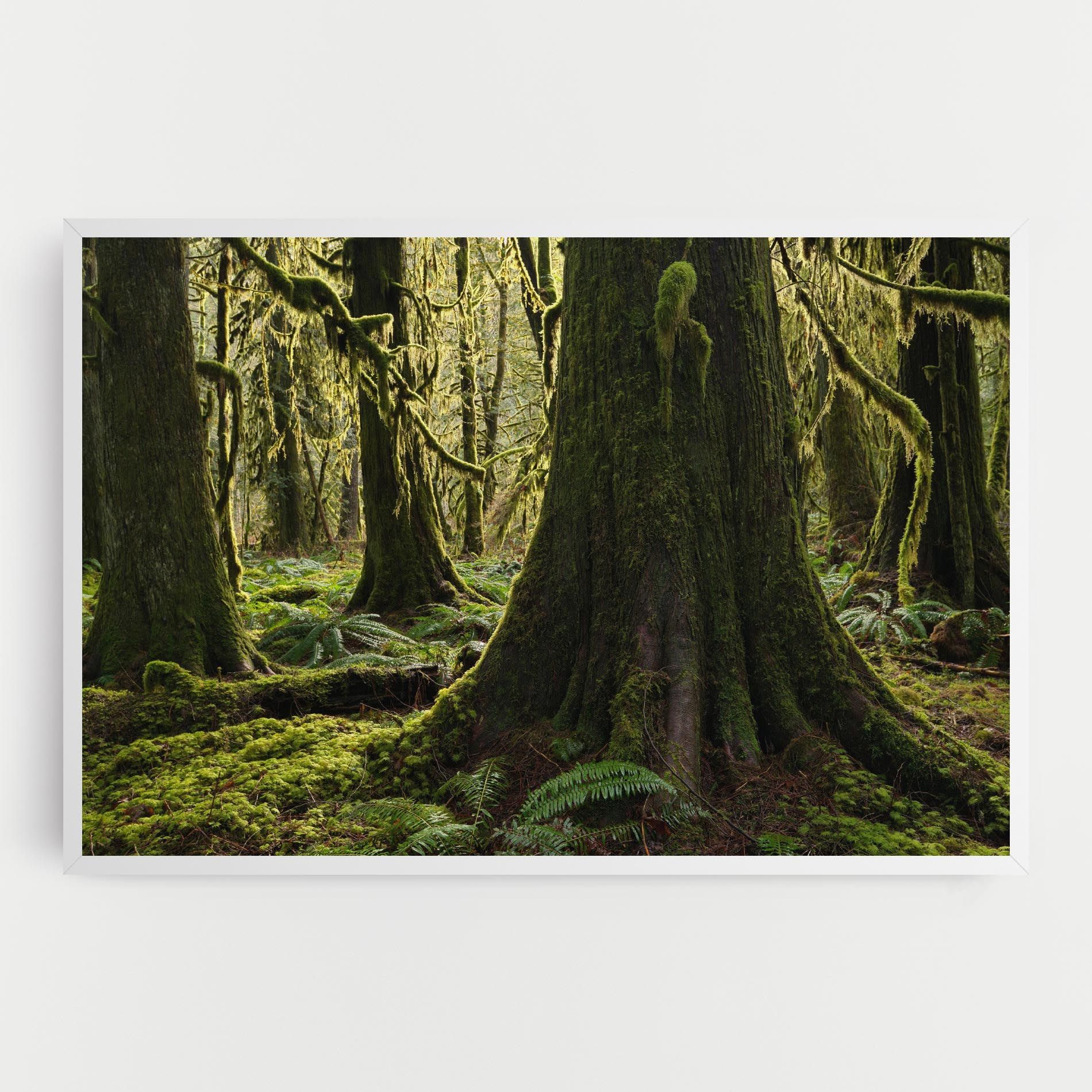 Green Moss Forest mockup 0