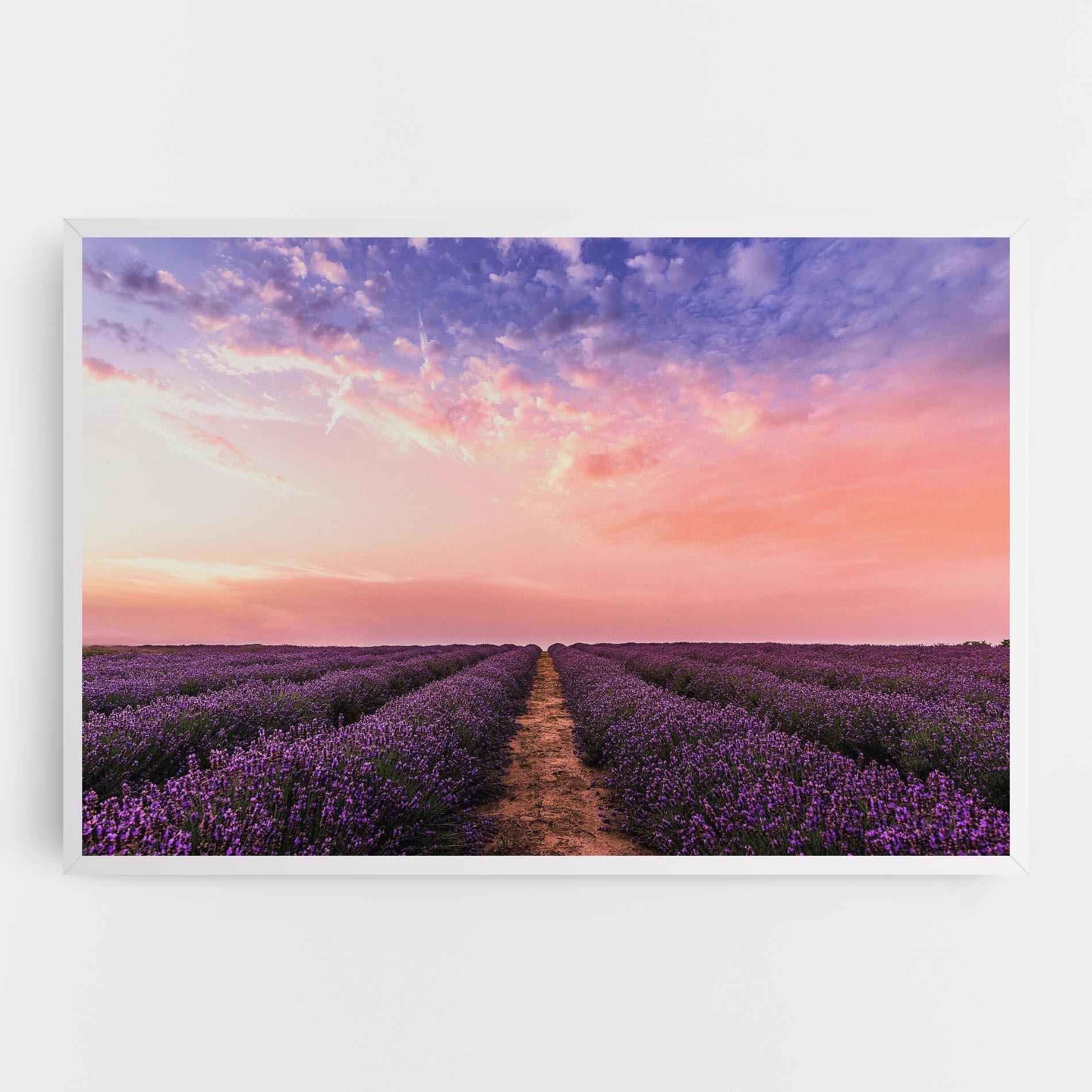 Leinwandbild Lavender Field mockup 0