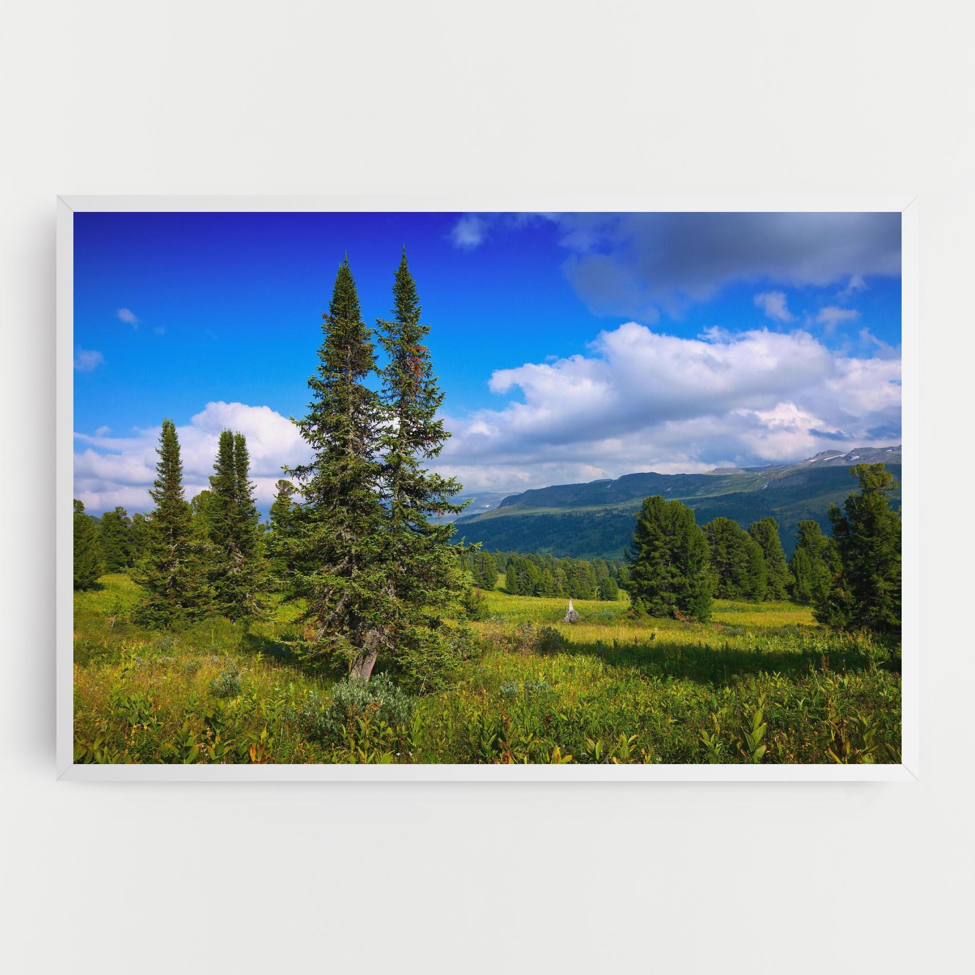 Leinwandbild Morning Sunny Field mockup 0