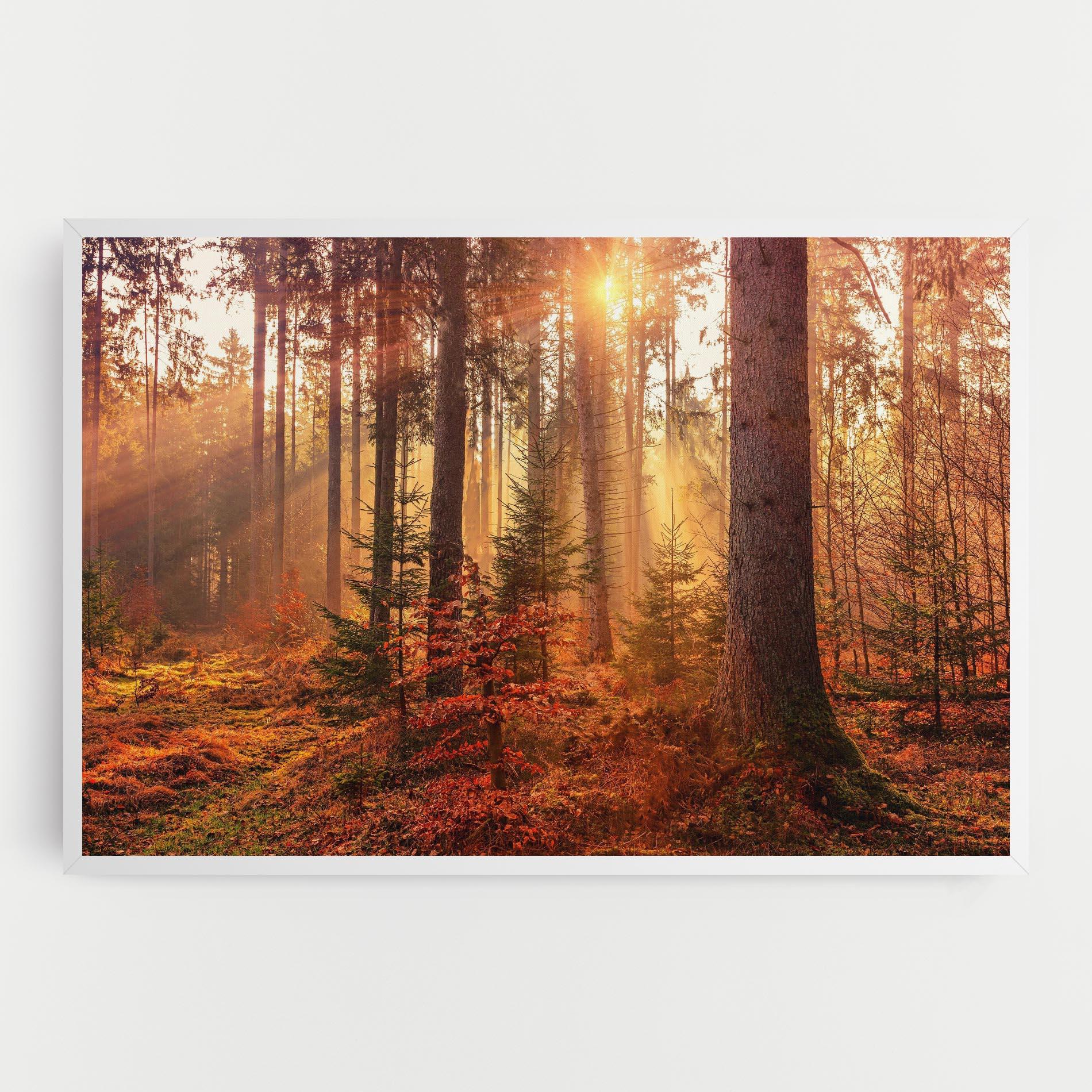 Leinwandbild Orange Light Forest mockup 0