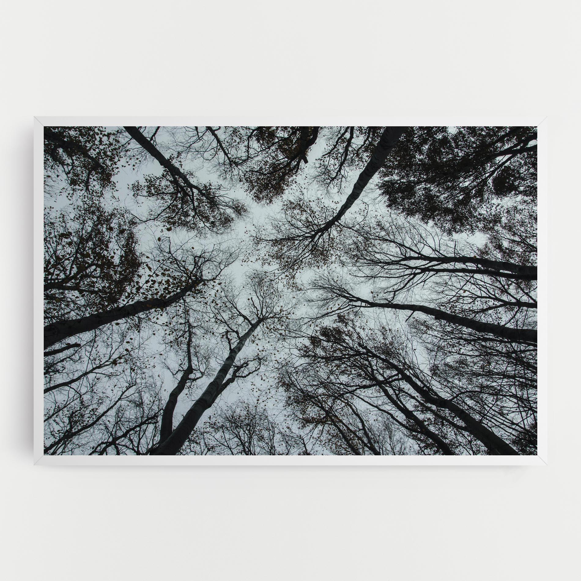 Leinwandbild Trees Touching mockup 0