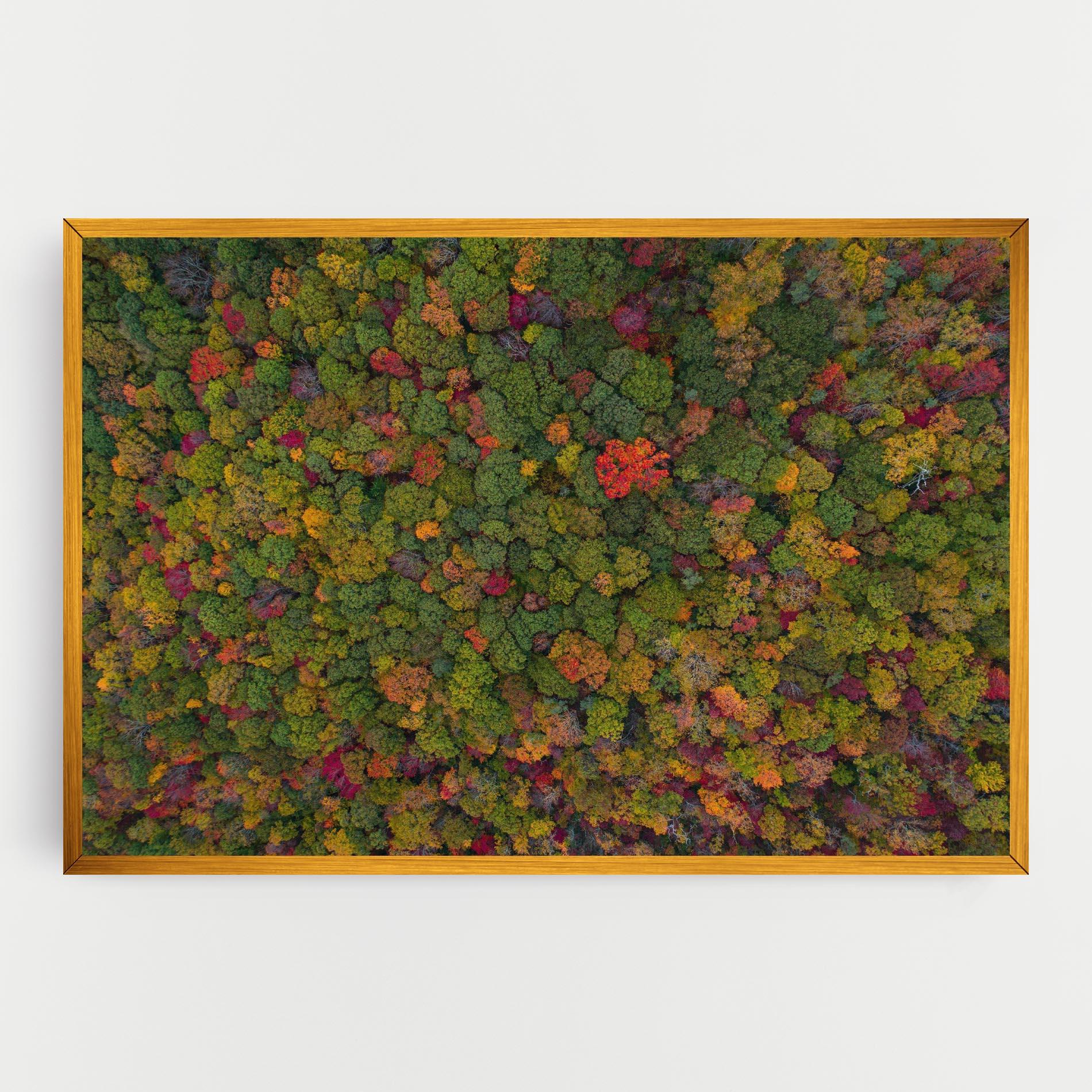 Leinwandbild Color Mix Forest mockup 0