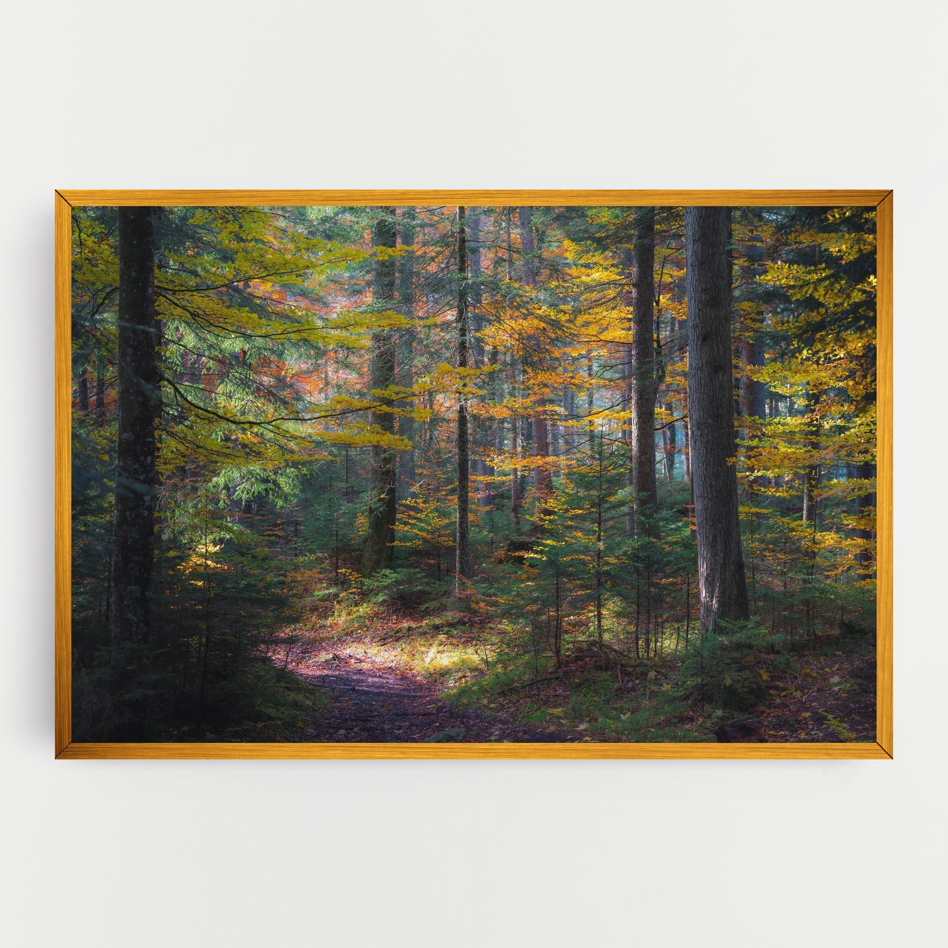 Leinwandbild Dreamy Path Dorest mockup 0