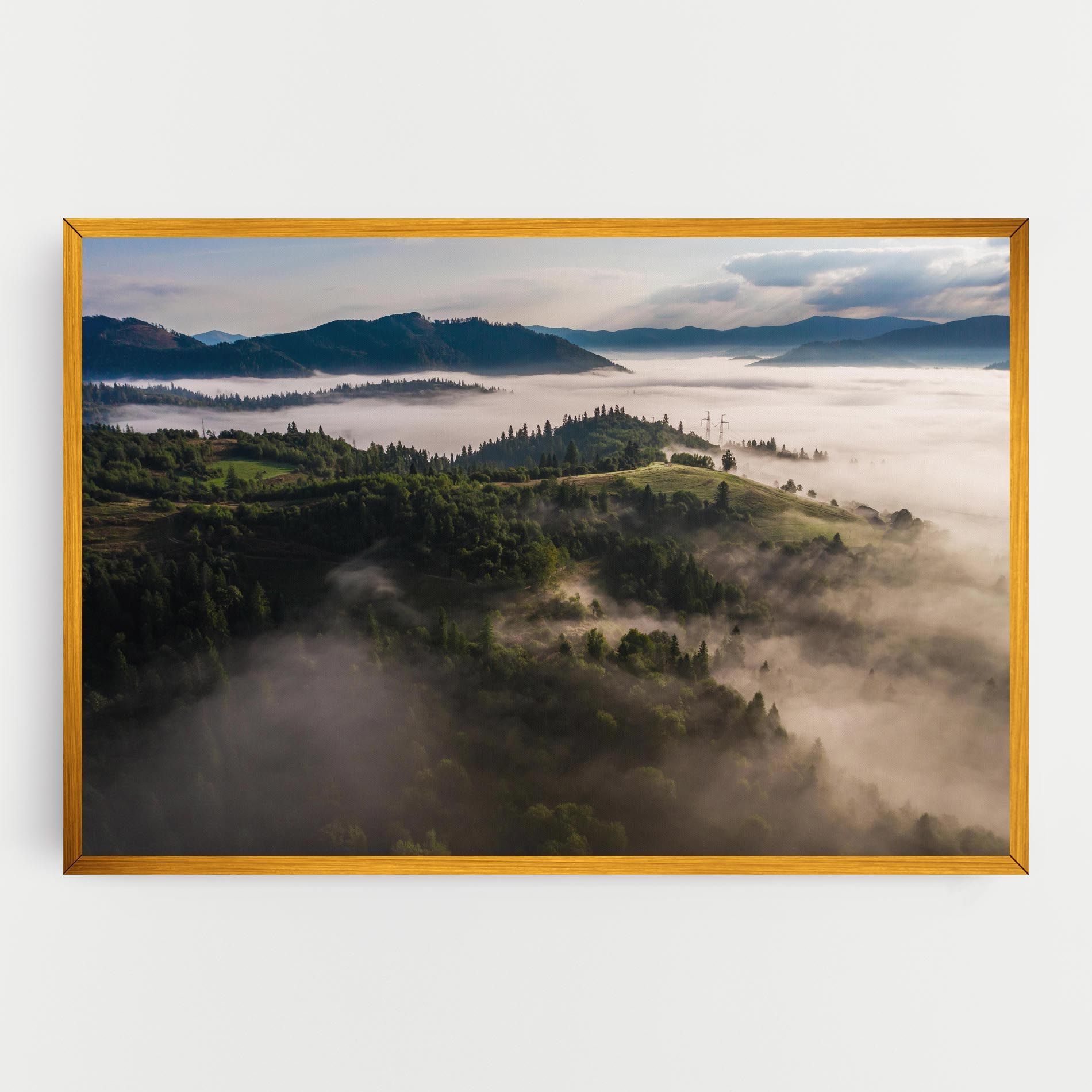 Foggy Forest View mockup 0