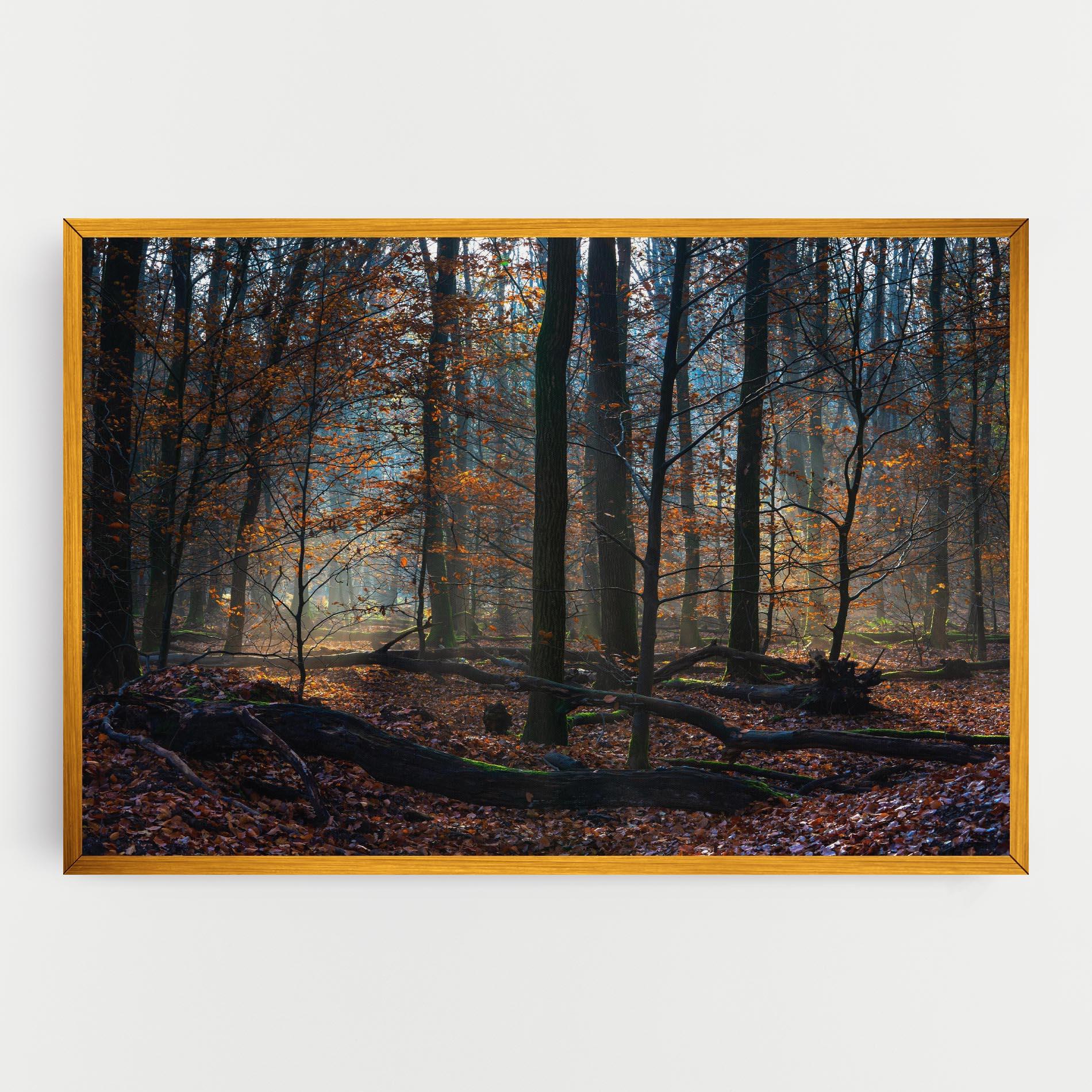 Leinwandbild Forest Autumn Day mockup 0