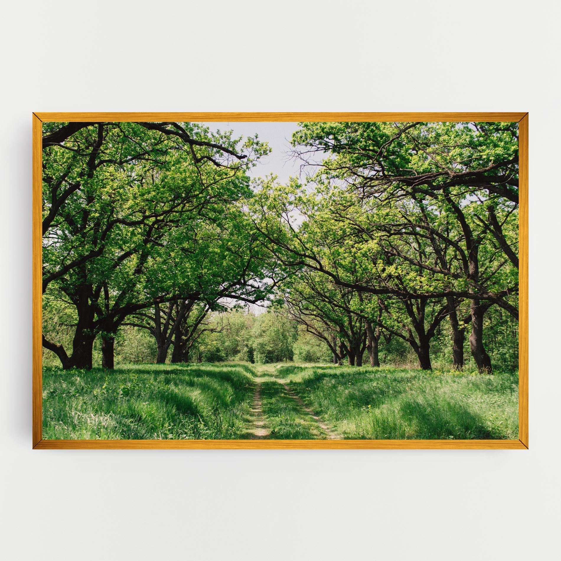 Leinwandbild Forest Green Path mockup 0