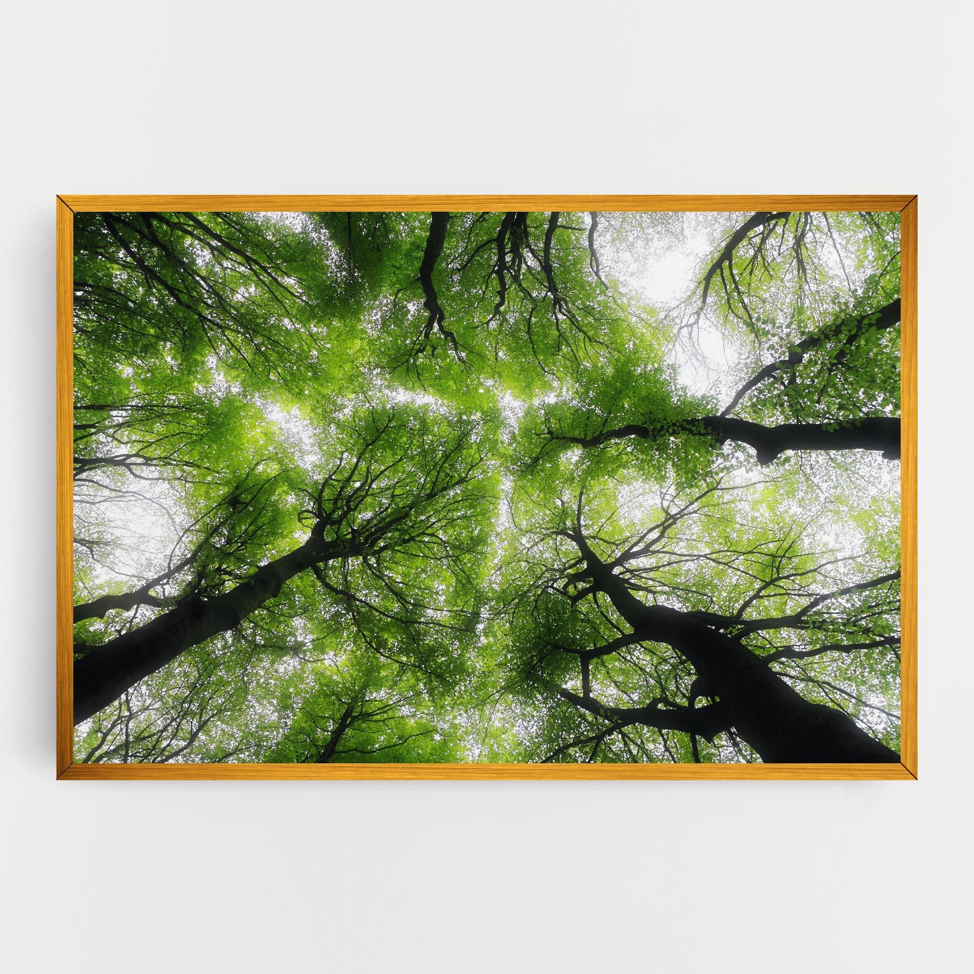 Leinwandbild Forest Green Tree mockup 0