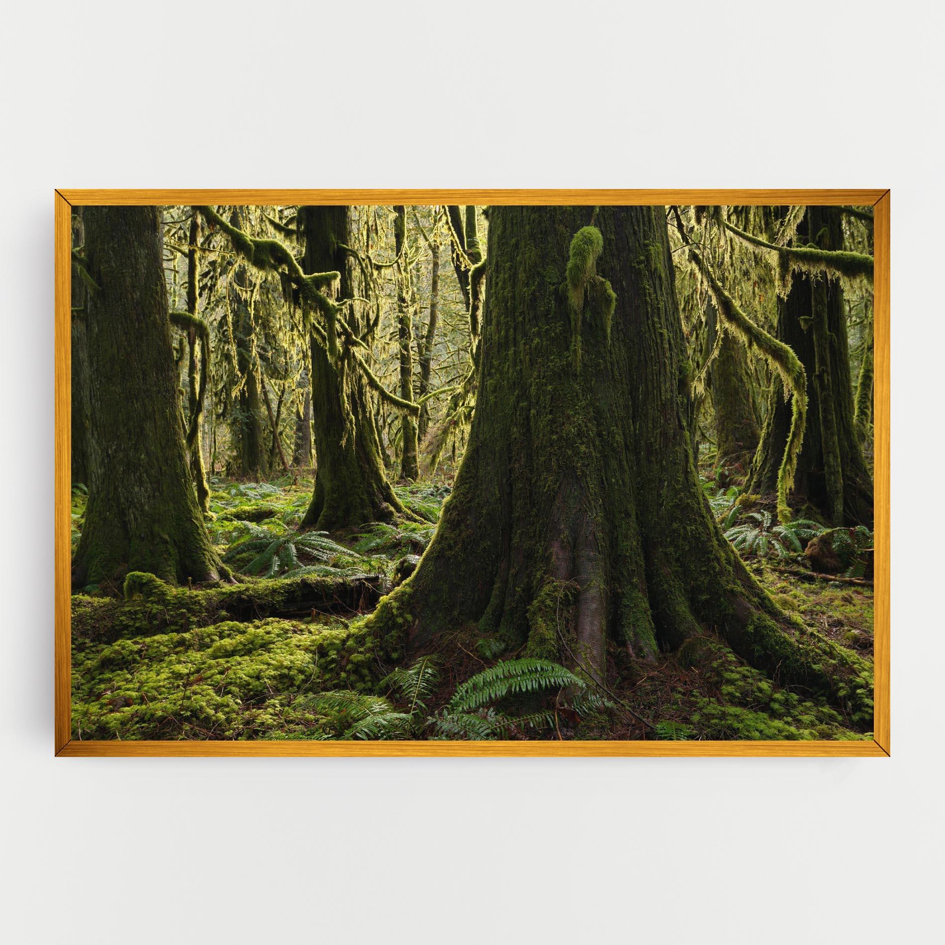 Leinwandbild Green Moss Forest mockup 0