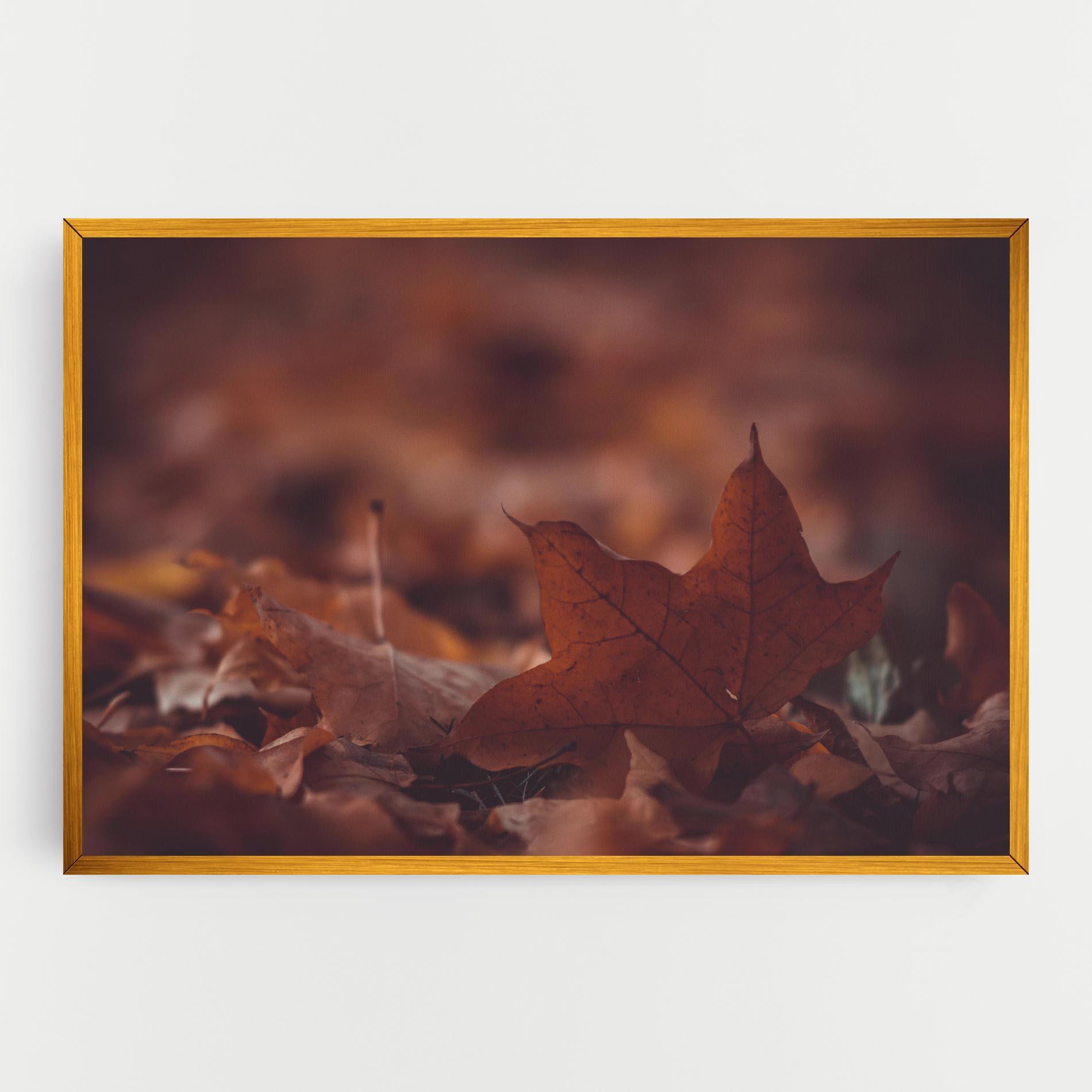 Leinwandbild Kristian Seedorff Bl1jBUEIeo8 Unsplash mockup 0