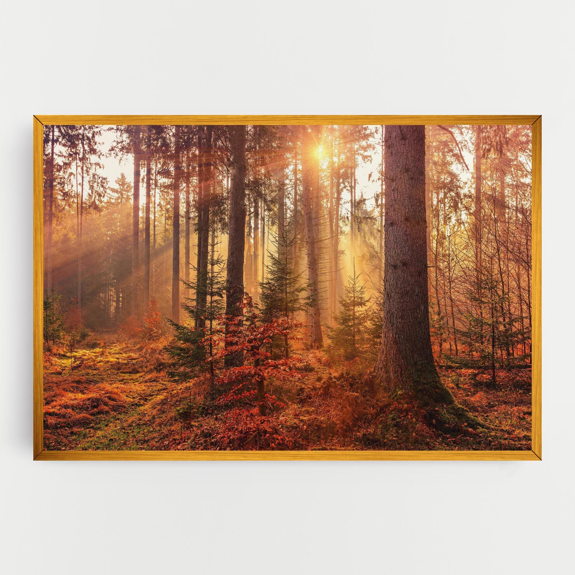 Orange Light Forest mockup 0