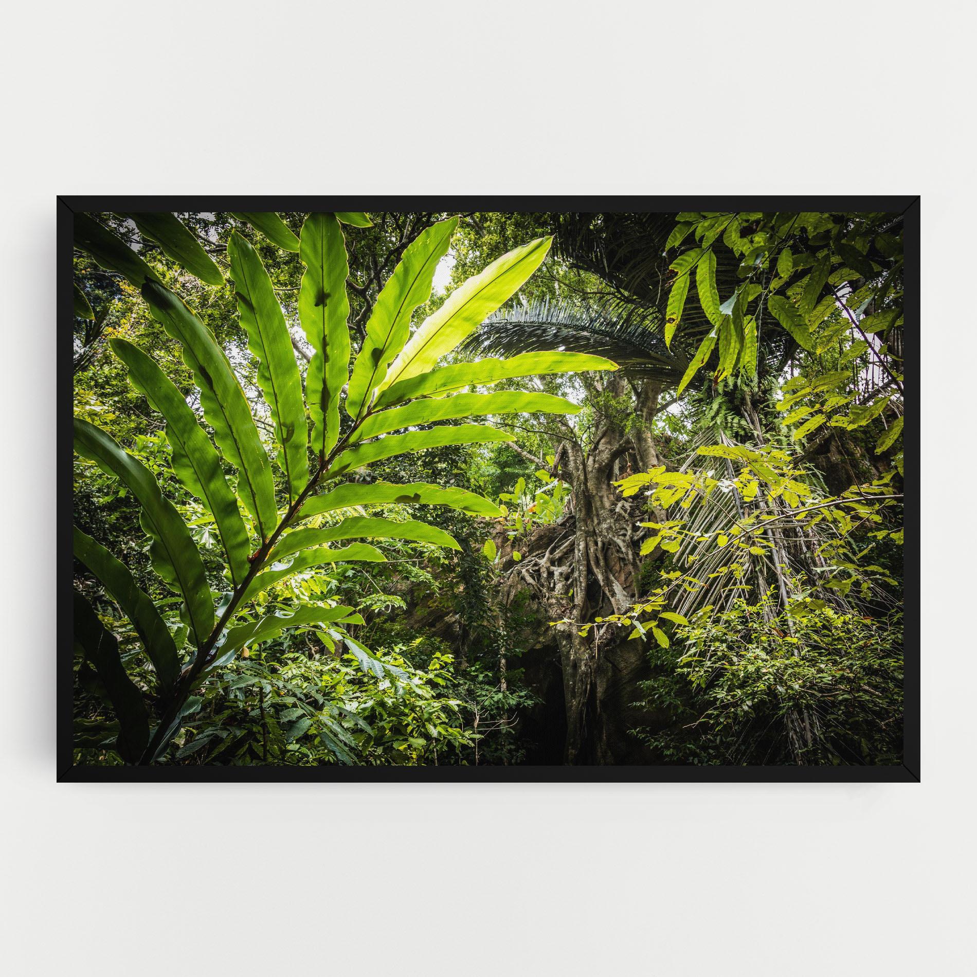 Leinwandbild Big Leaf Forest mockup 0