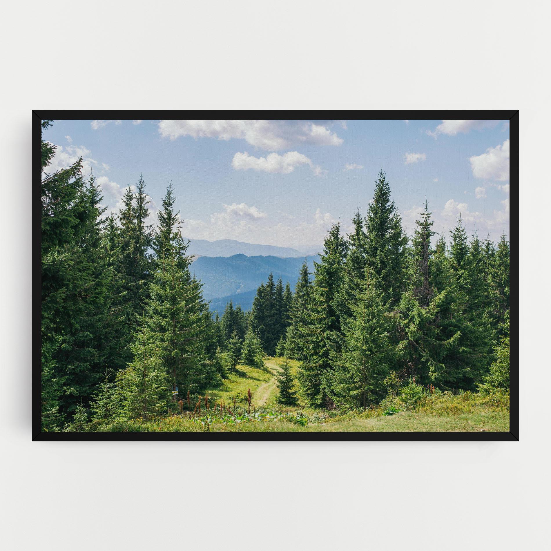 Leinwandbild Carpathian Mountain mockup 0