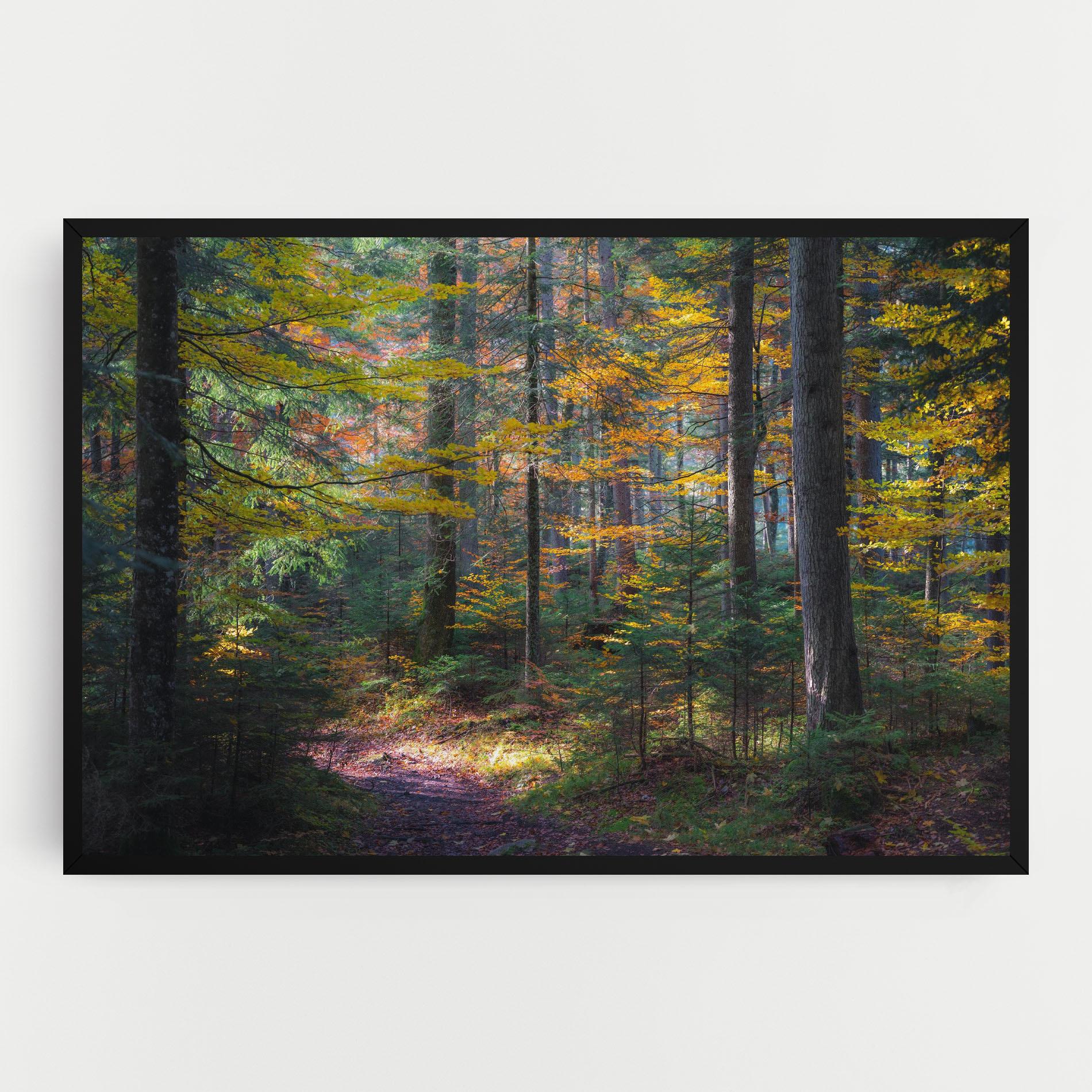 Leinwandbild Dreamy Path Dorest mockup 0