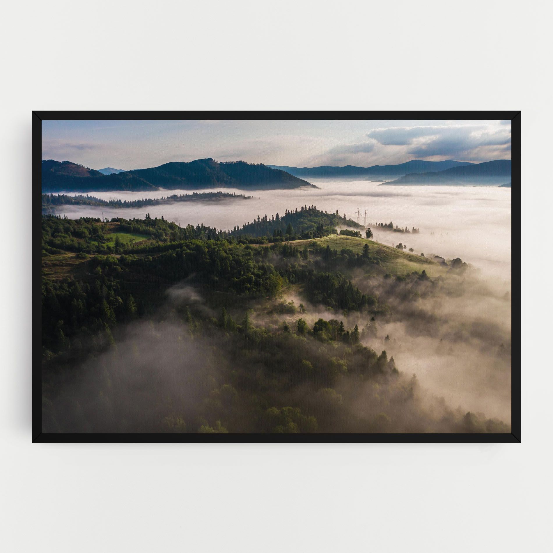 Foggy Forest View mockup 0