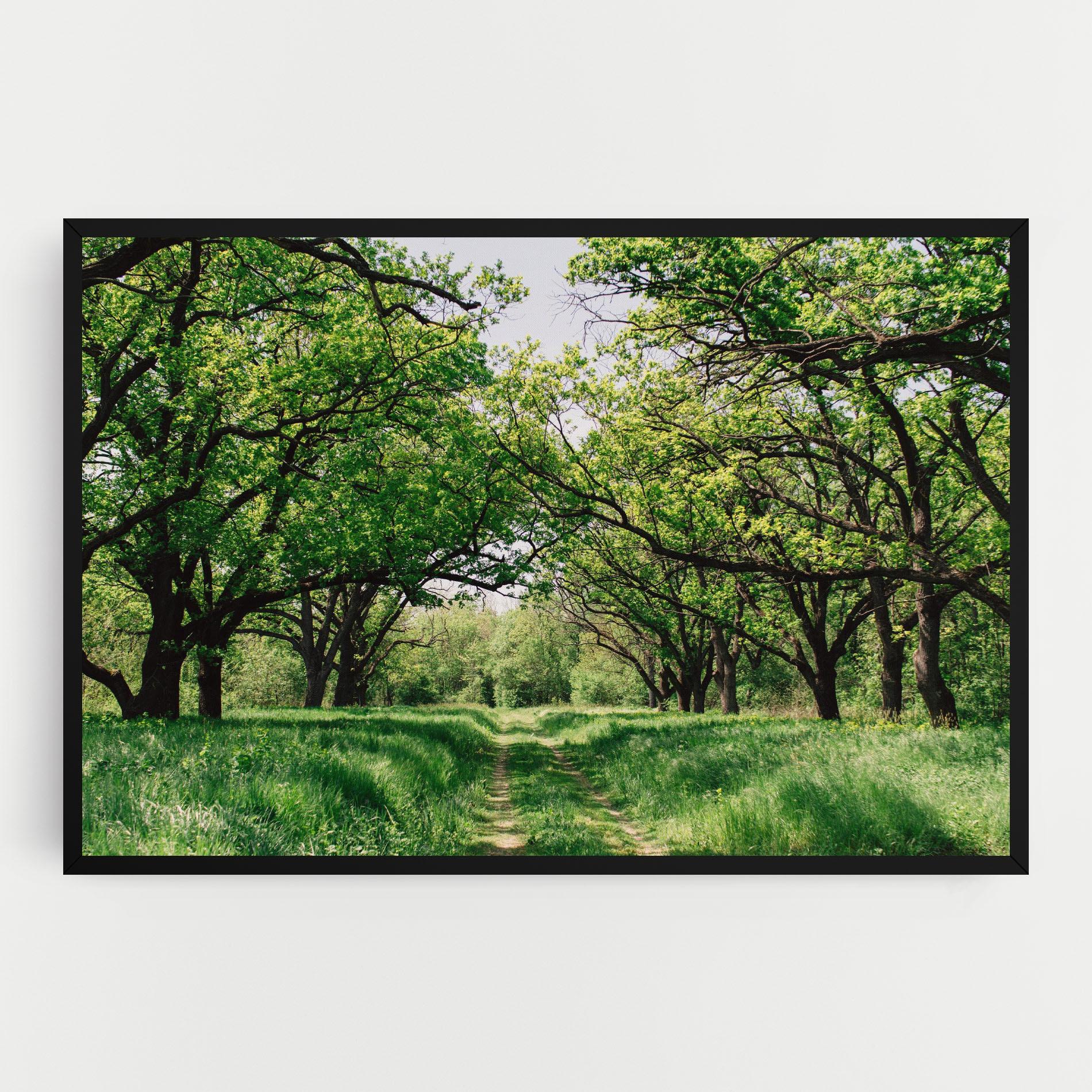 Leinwandbild Forest Green Path mockup 0