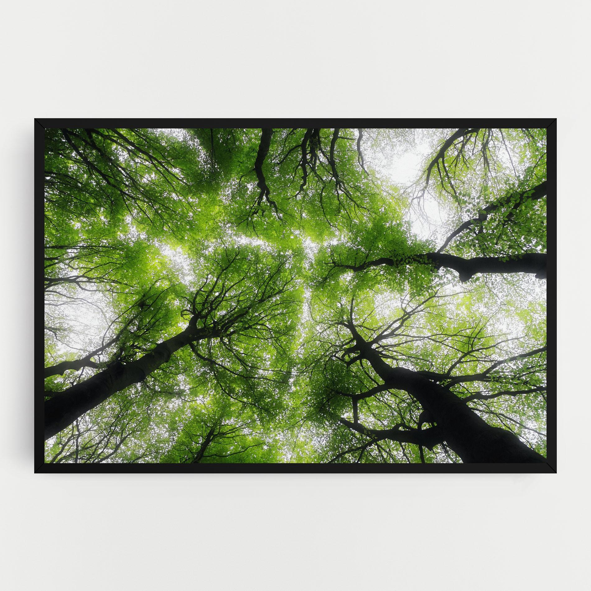 Leinwandbild Forest Green Tree mockup 0