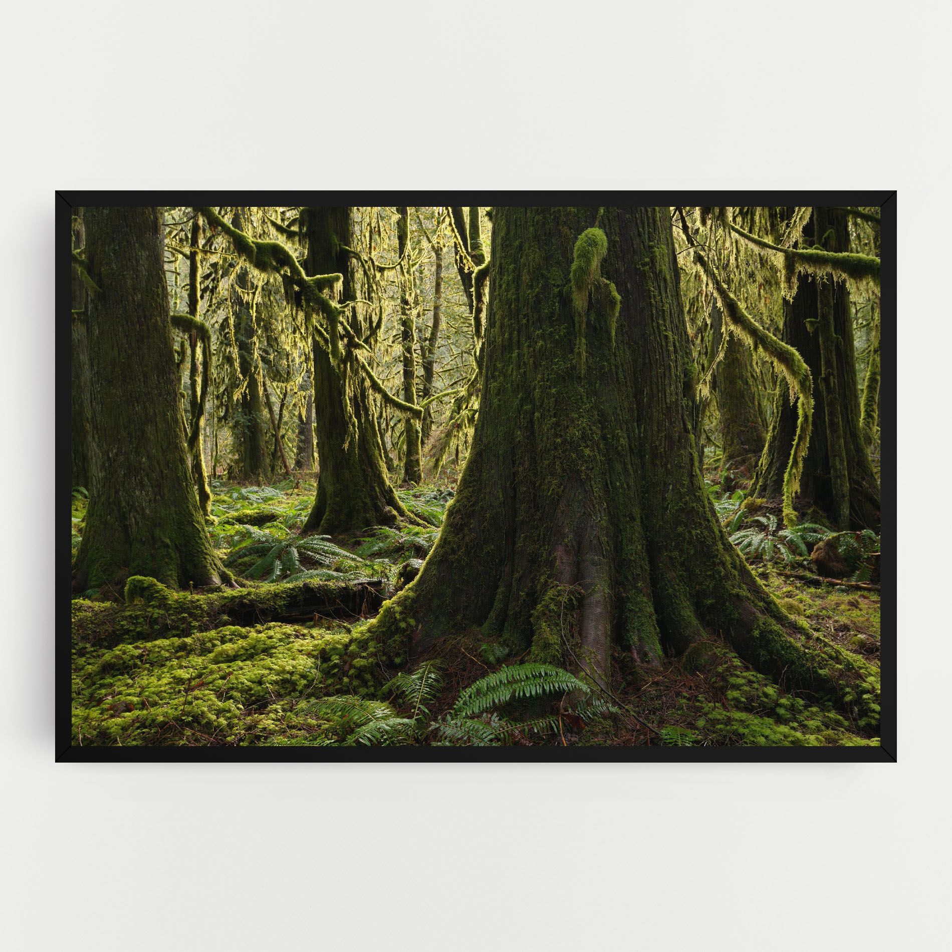 Green Moss Forest mockup 0