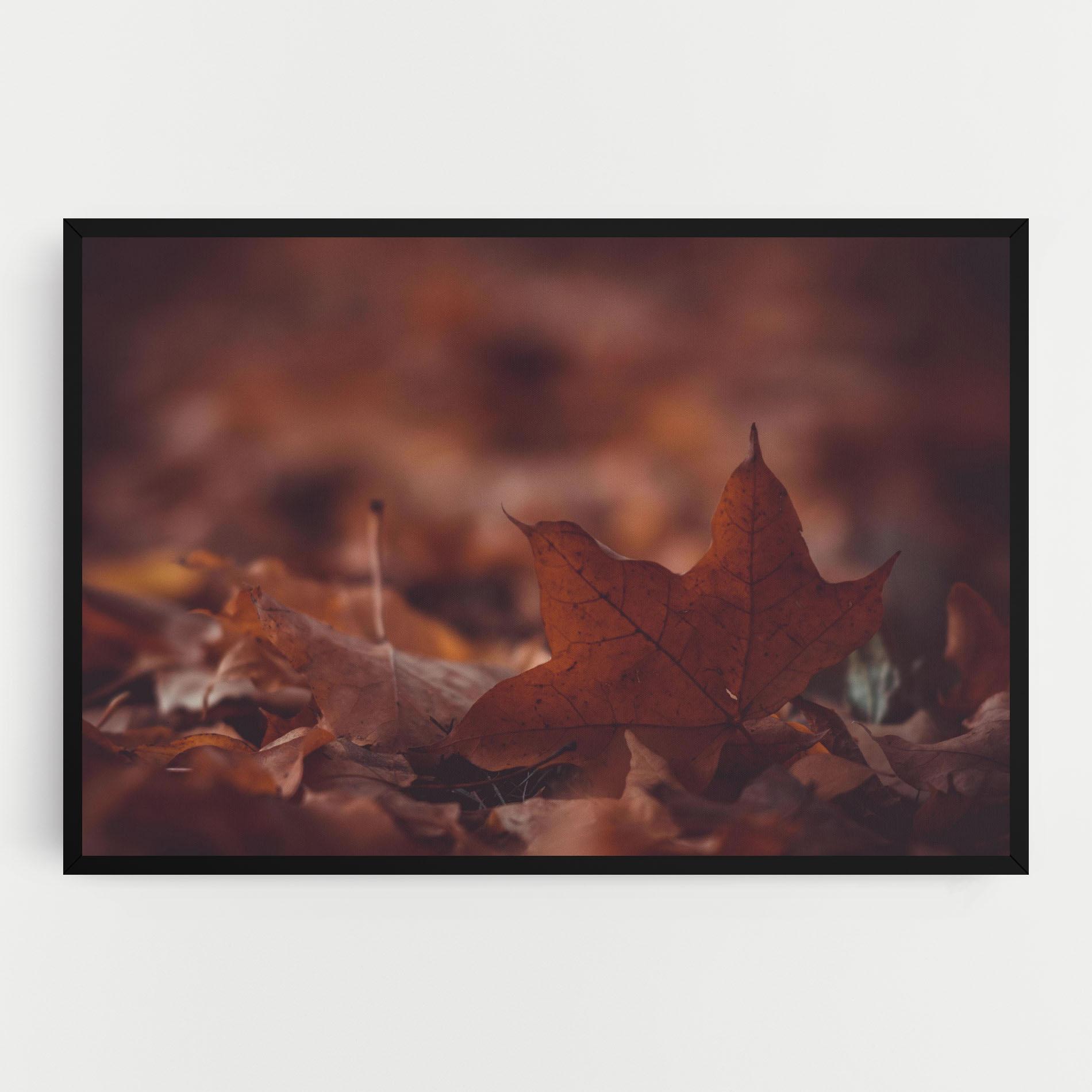 Leinwandbild Kristian Seedorff Bl1jBUEIeo8 Unsplash mockup 0