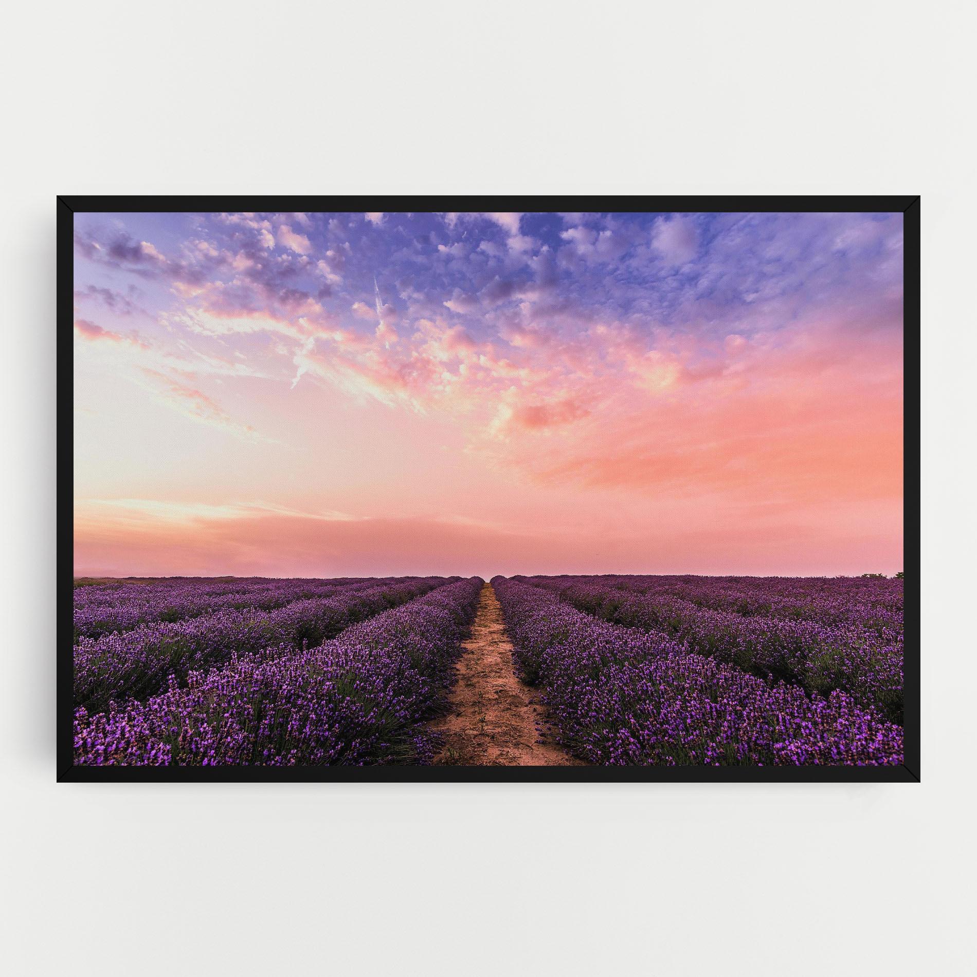 Leinwandbild Lavender Field mockup 0