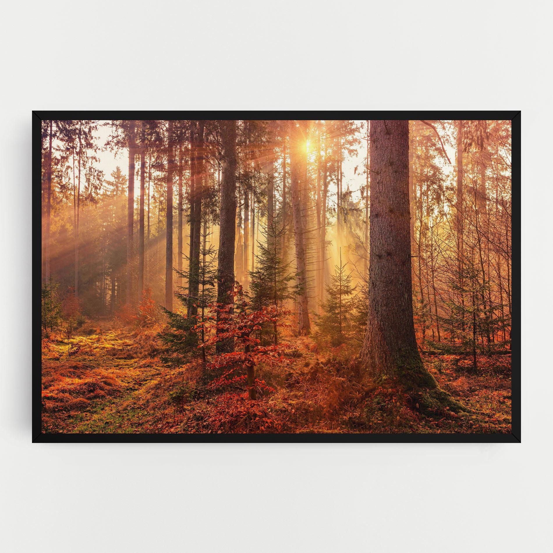 Leinwandbild Orange Light Forest mockup 0