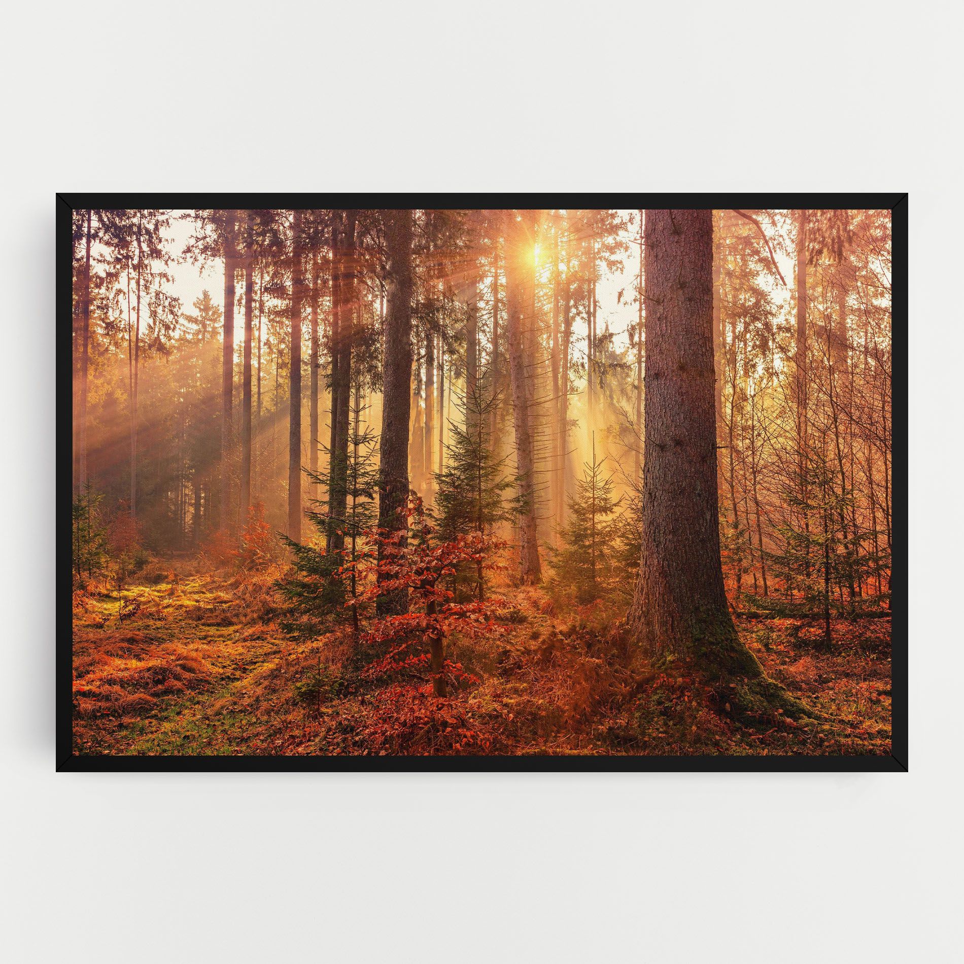 Orange Light Forest mockup 0