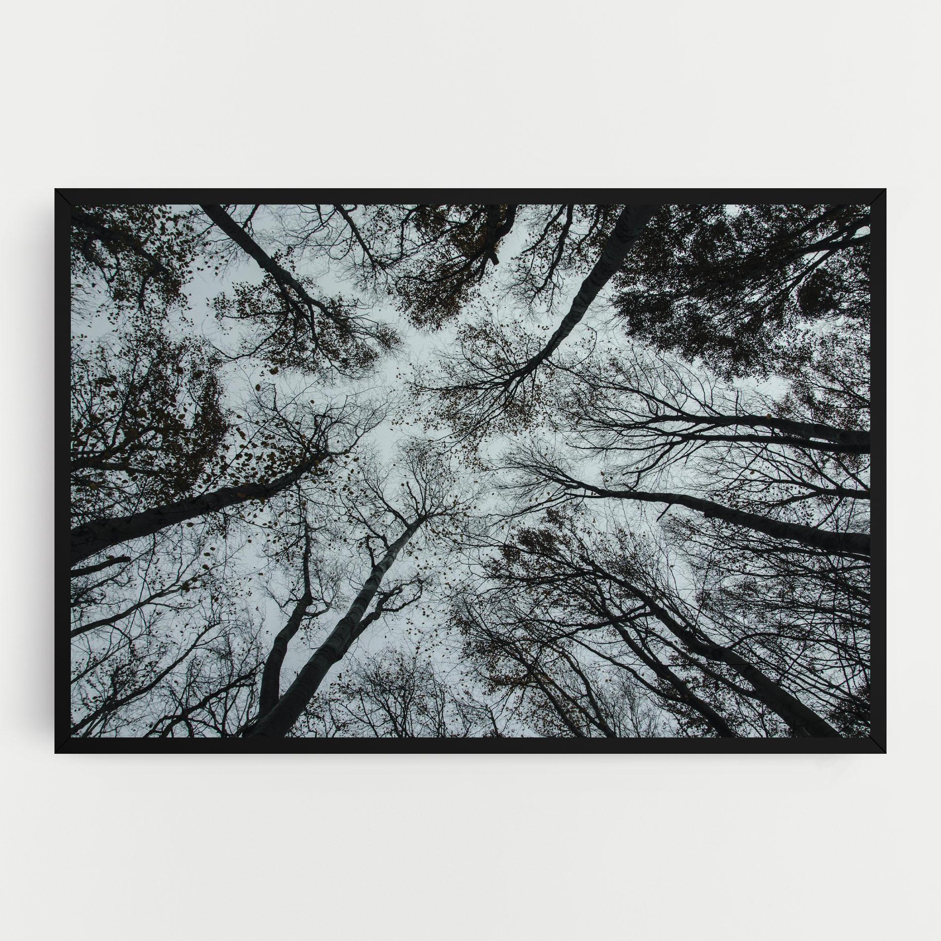 Leinwandbild Trees Touching mockup 0