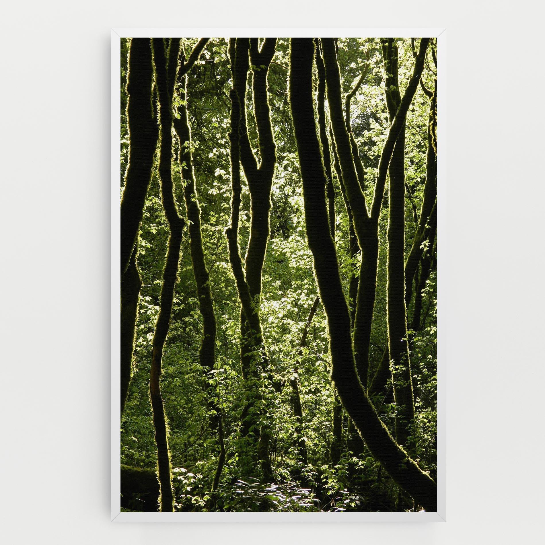 Leinwandbild Forest Black Trees mockup 0