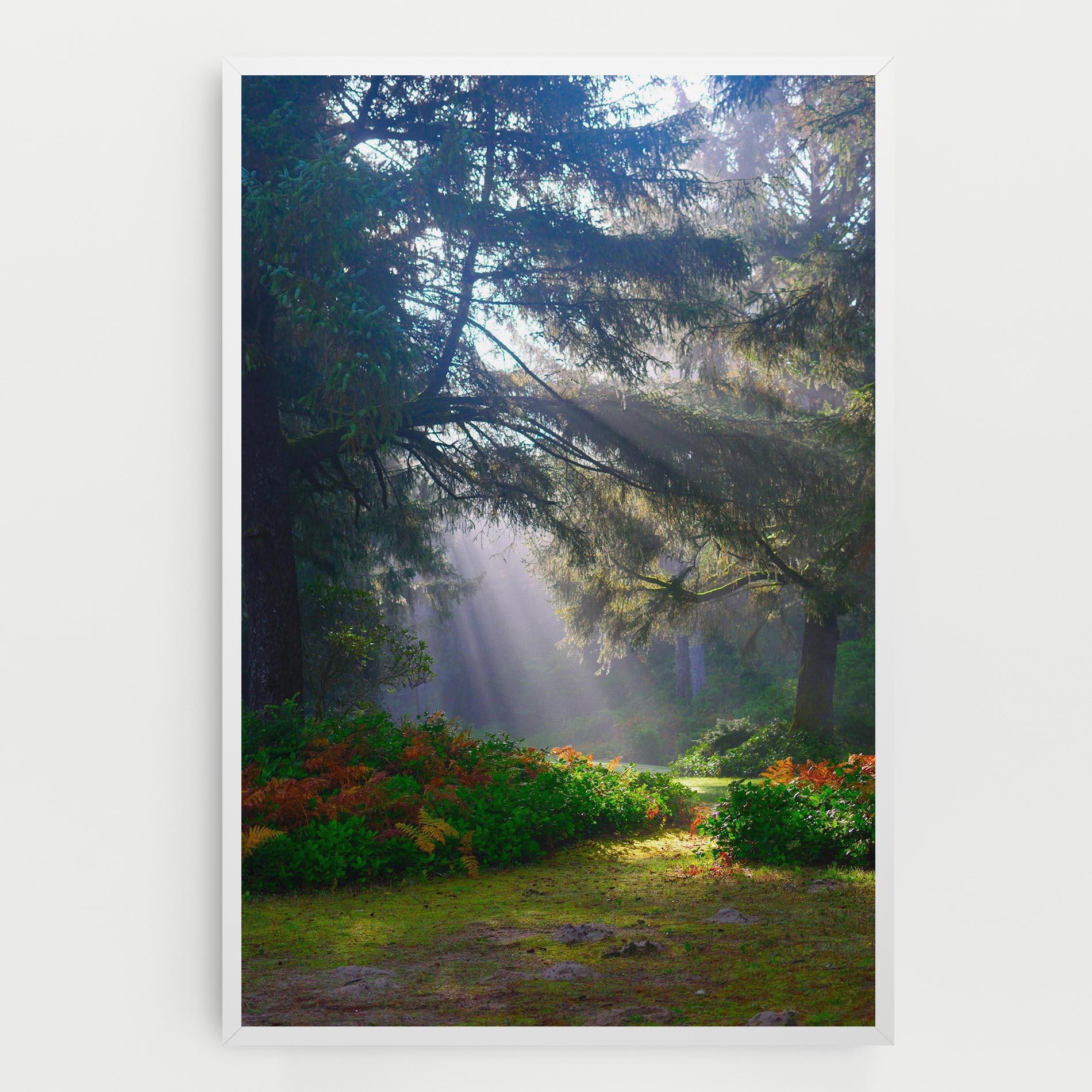 Leinwandbild Forest Light mockup 0
