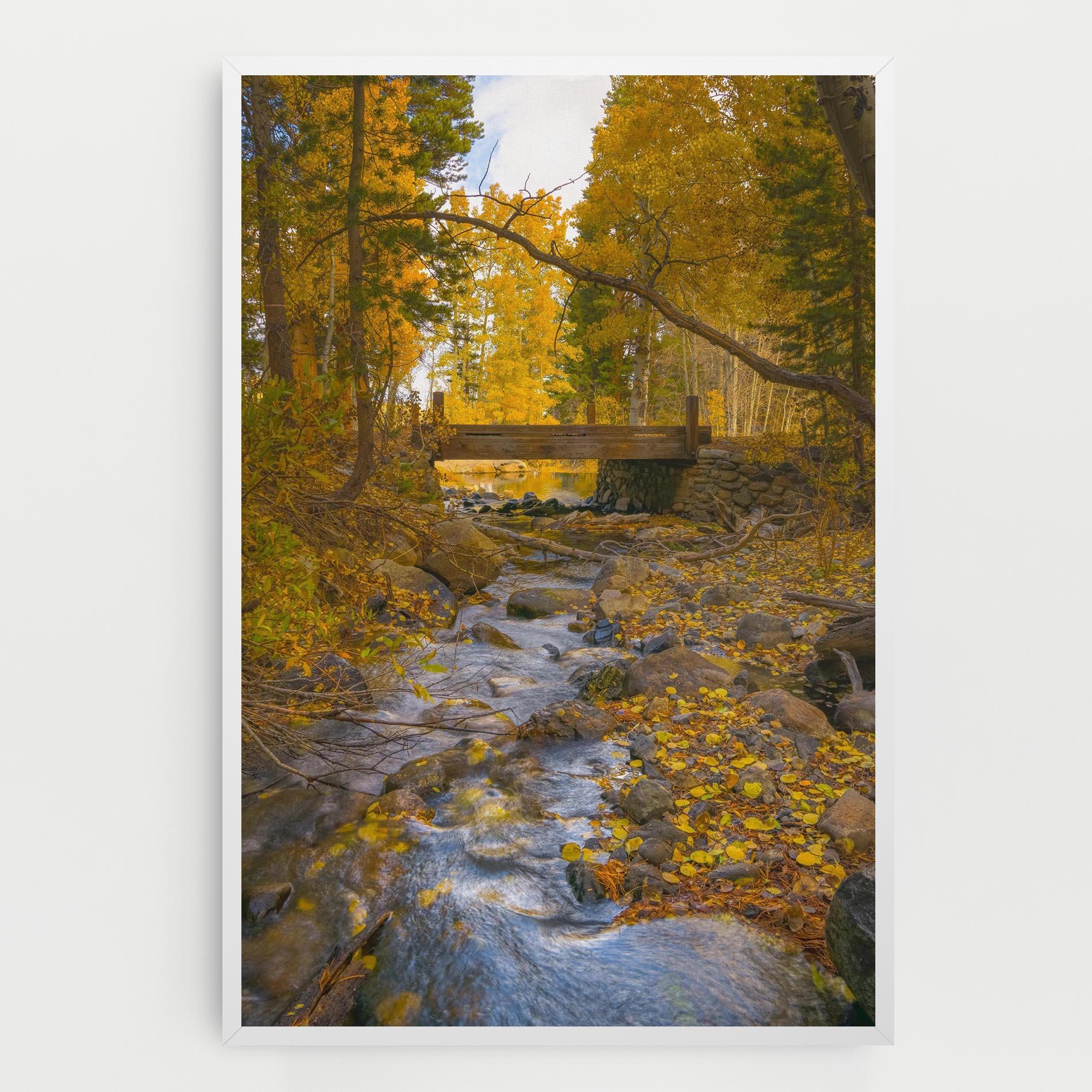 Leinwandbild Yellow View Forest mockup 0