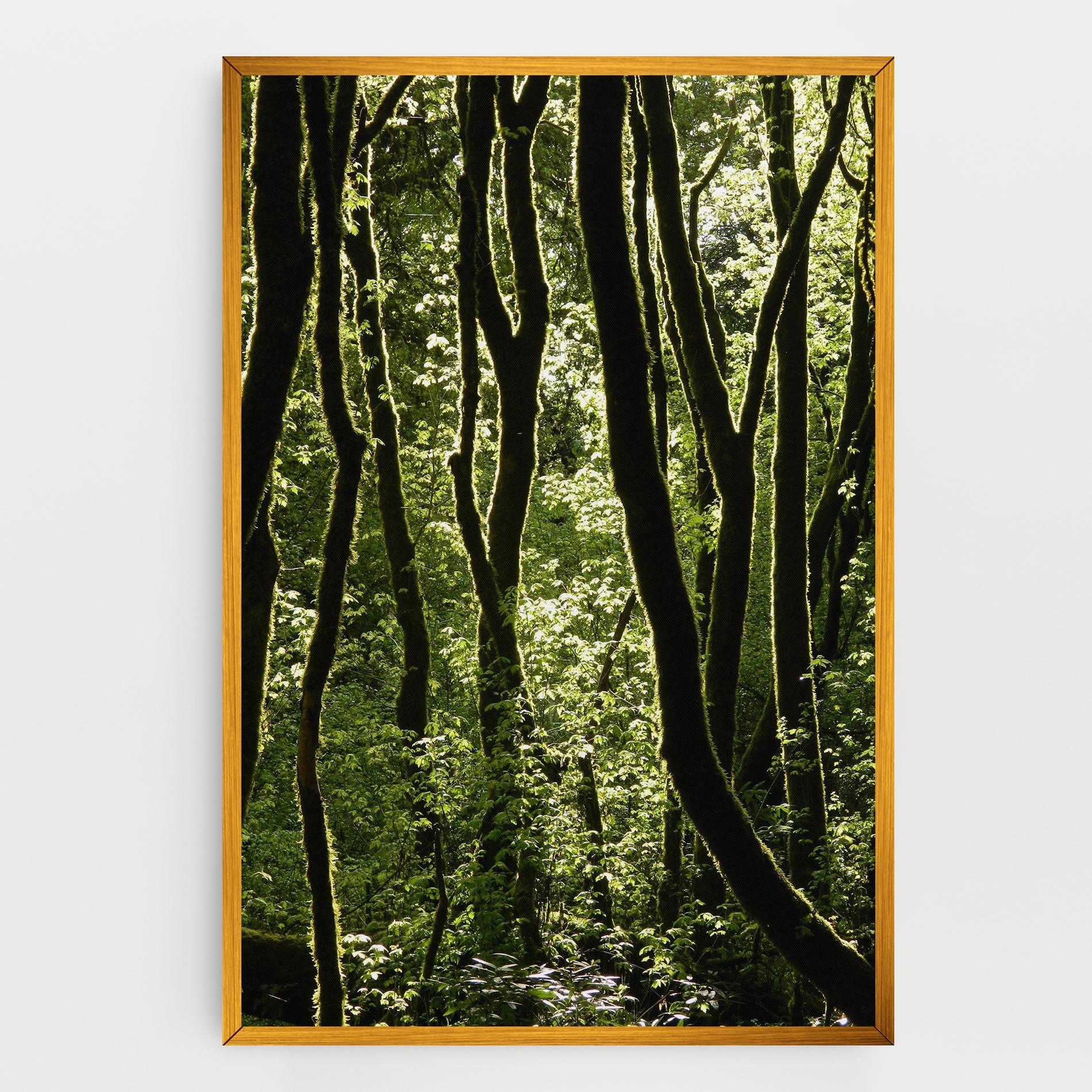 Leinwandbild Forest Black Trees mockup 0