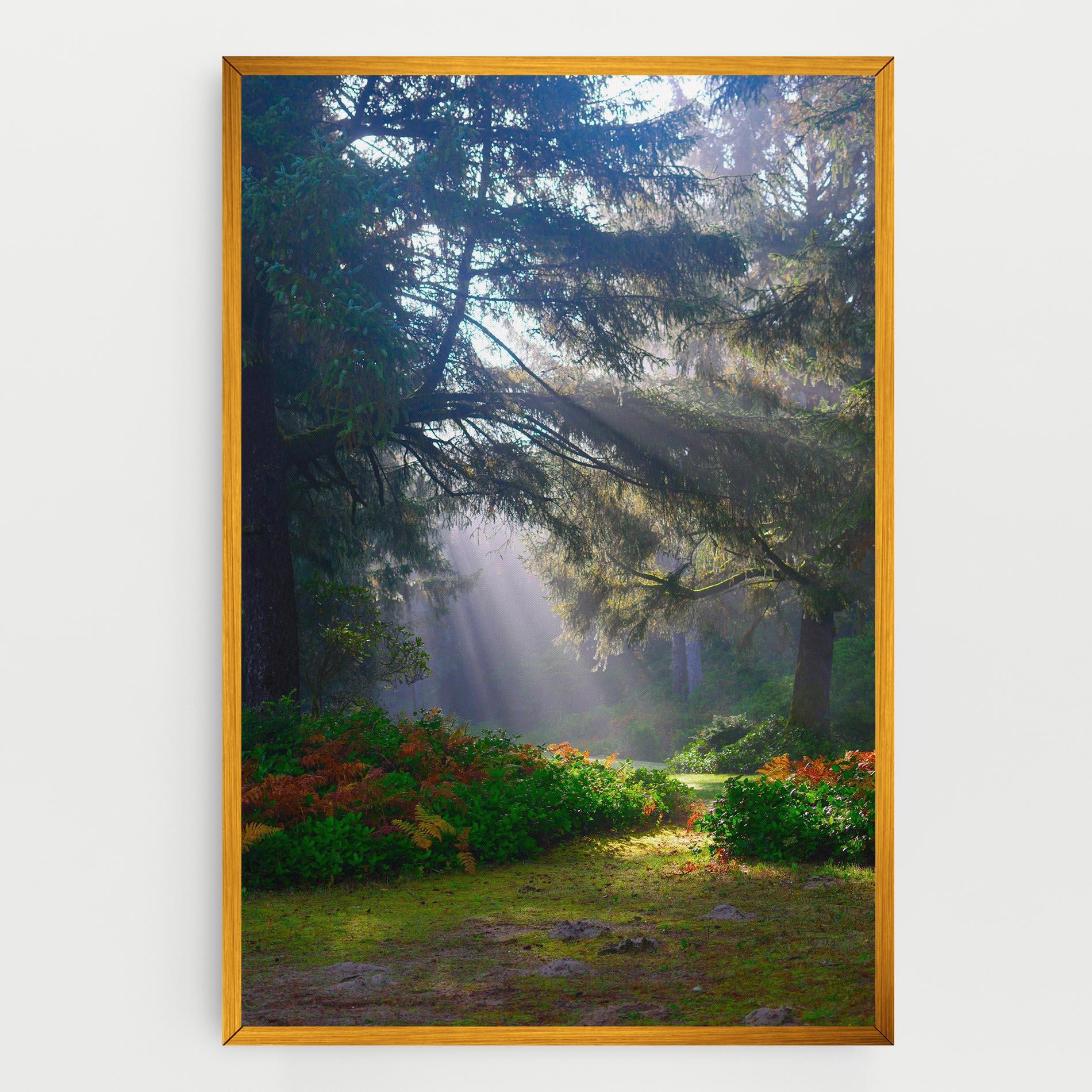 Leinwandbild Forest Light mockup 0