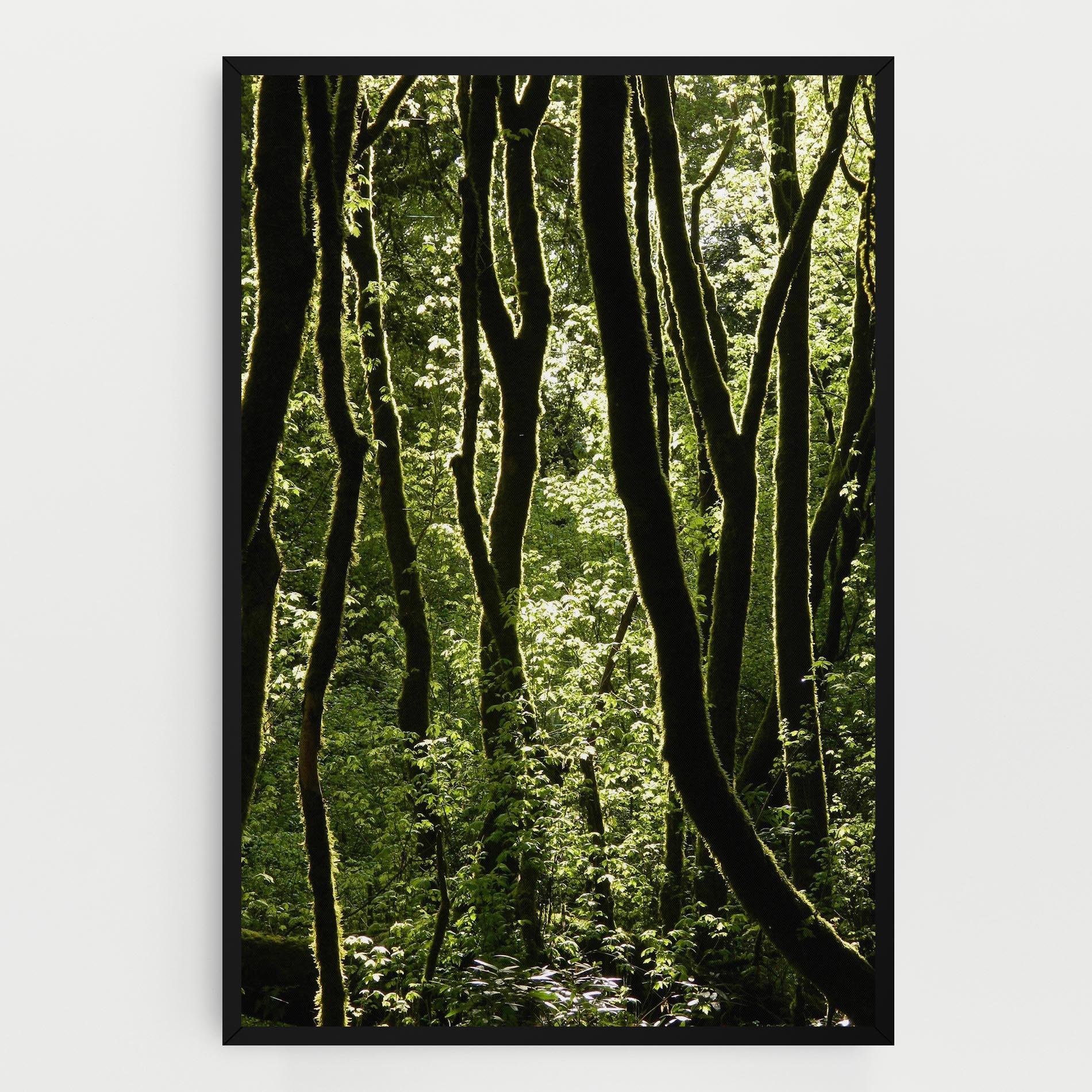 Leinwandbild Forest Black Trees mockup 0