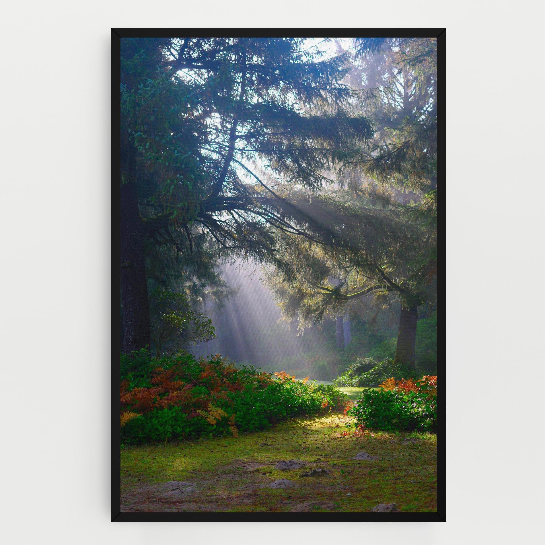 Leinwandbild Forest Light mockup 0