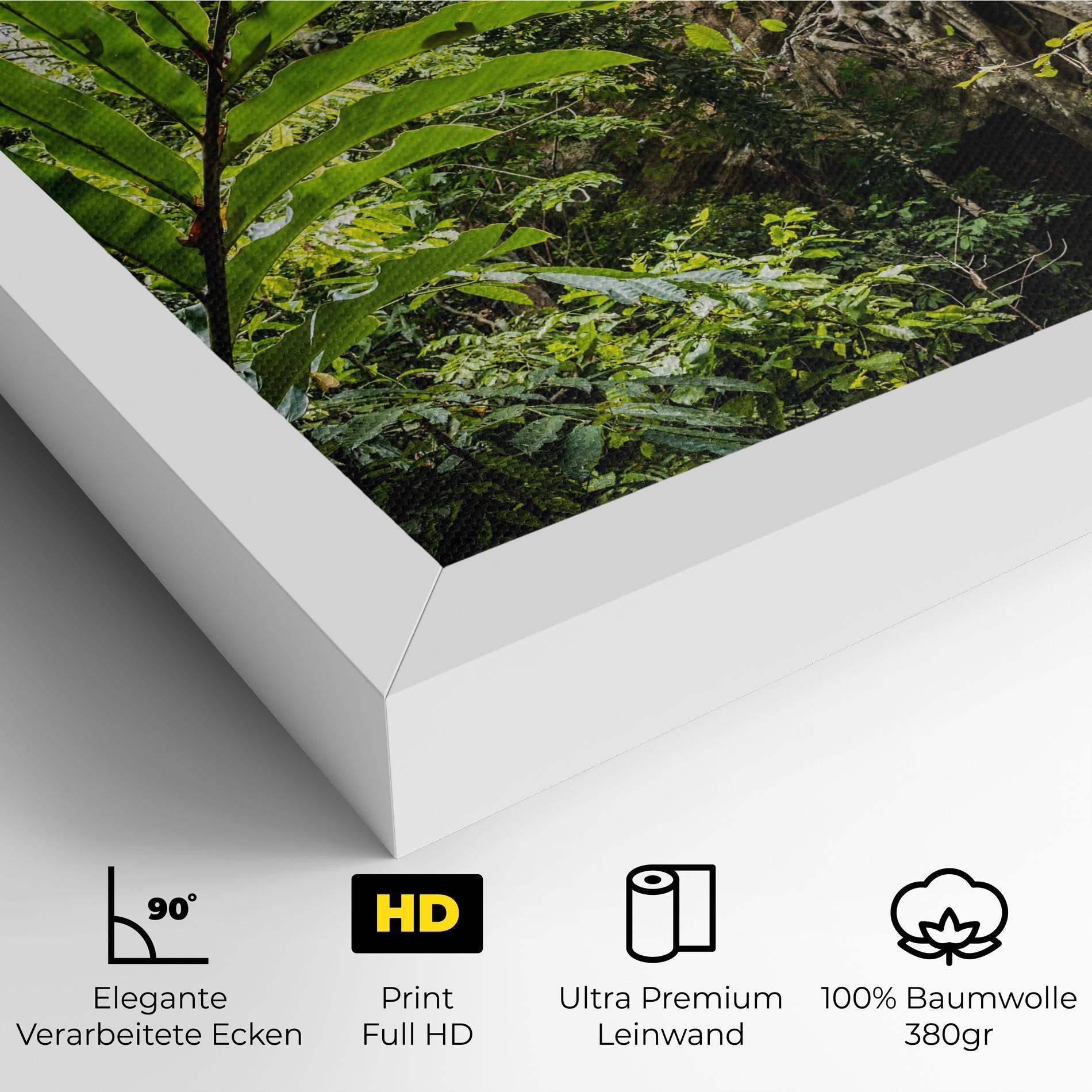 Leinwandbild Big Leaf Forest mockup 4