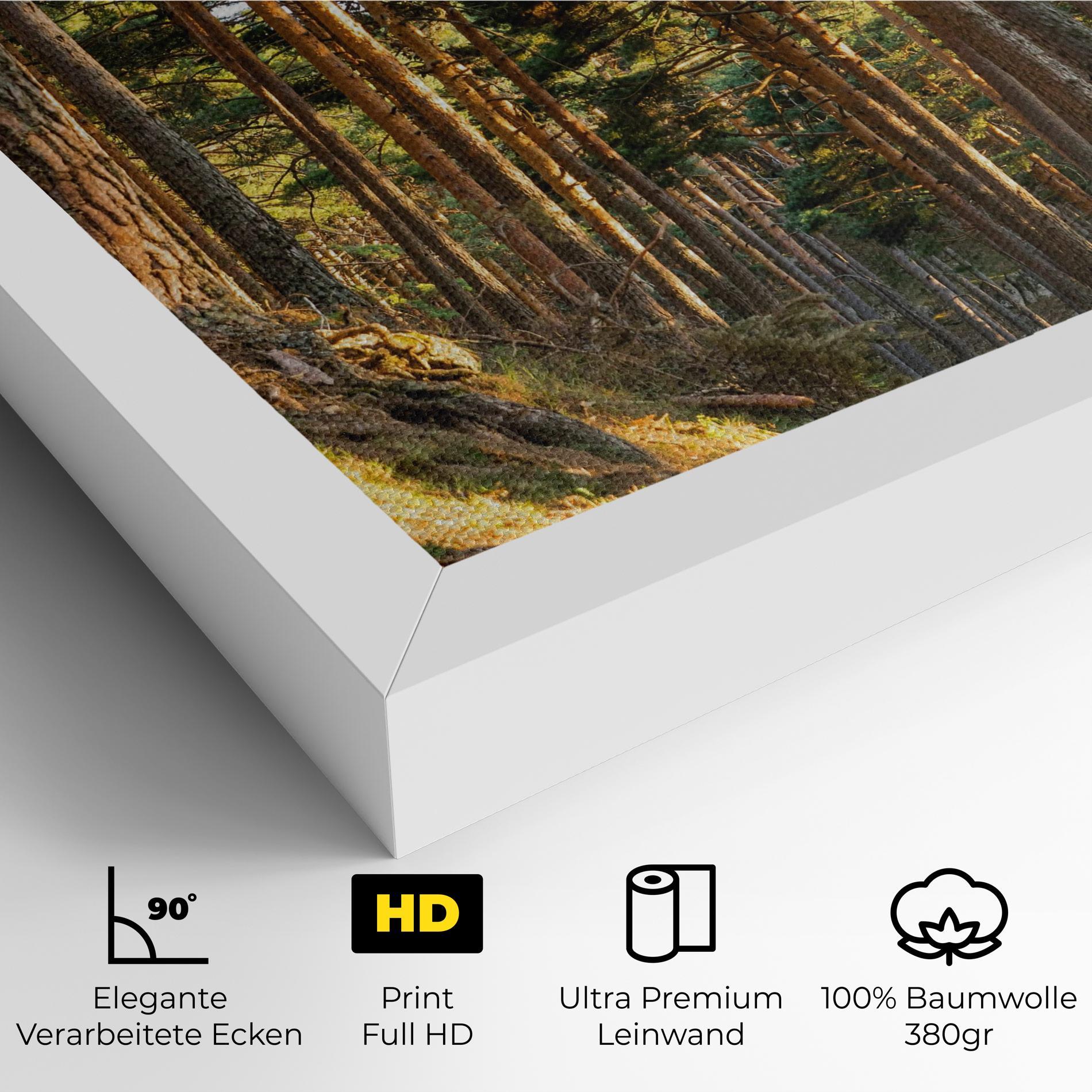 Leinwandbild Big Trees Forest mockup 4