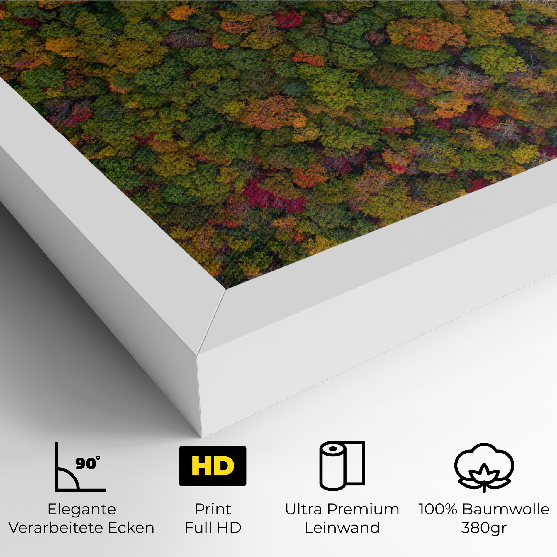 Leinwandbild Color Mix Forest mockup 4