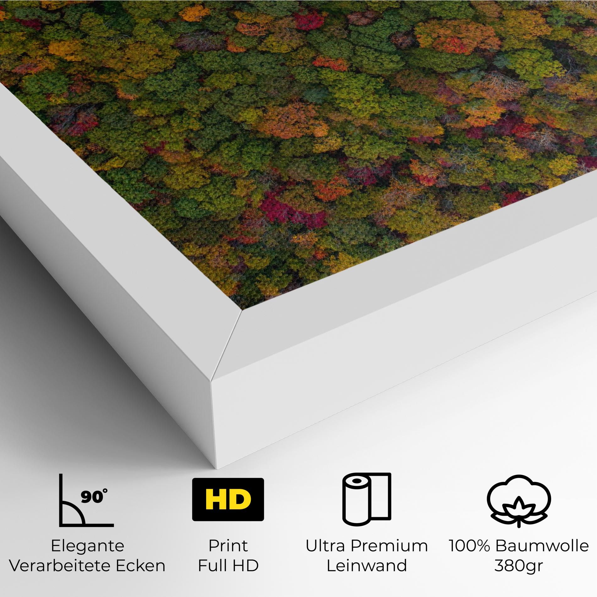 Color Mix Forest mockup 4